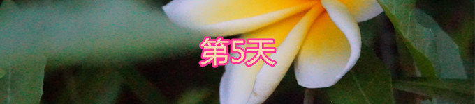5 5