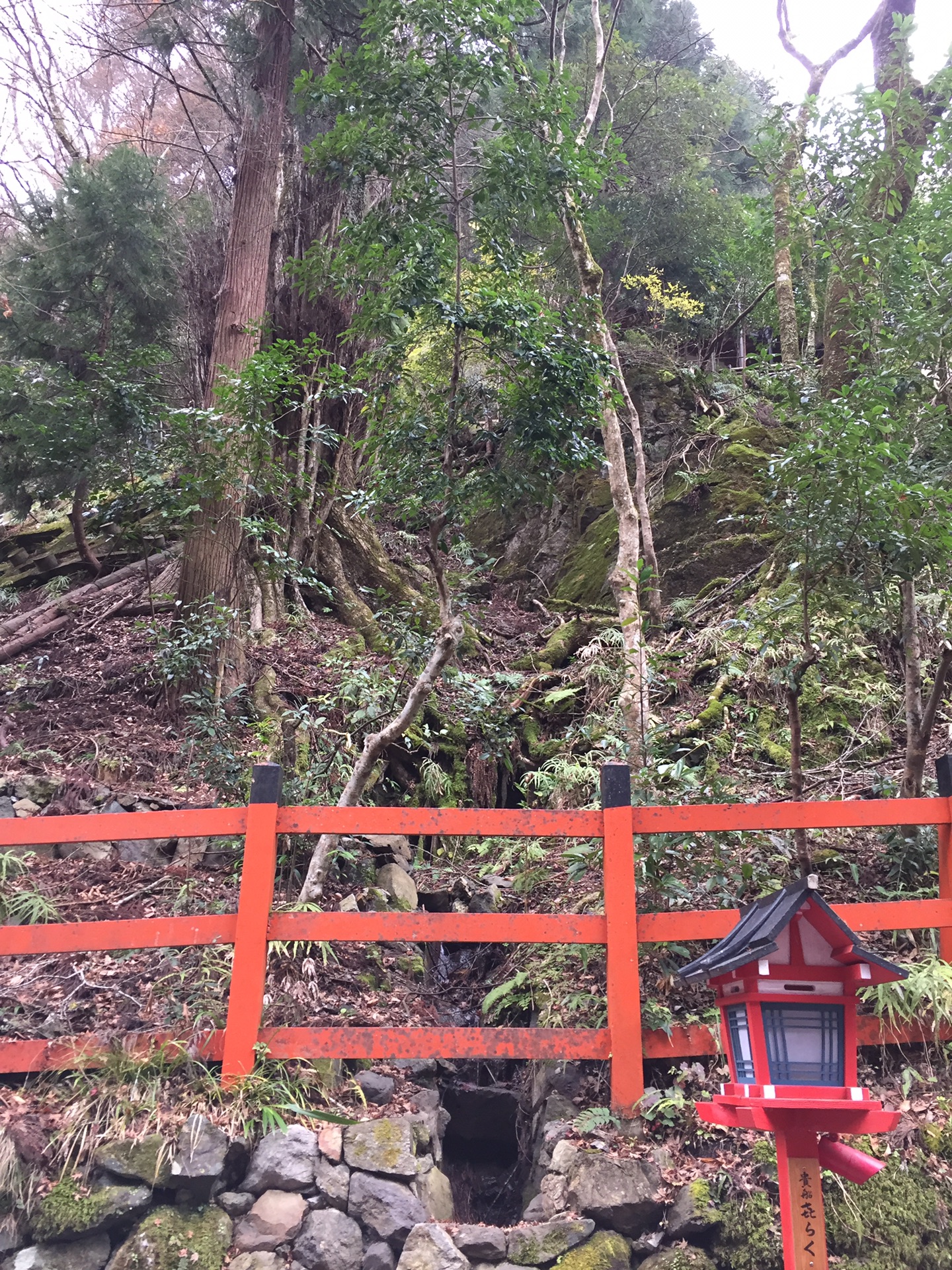 京都自助遊攻略