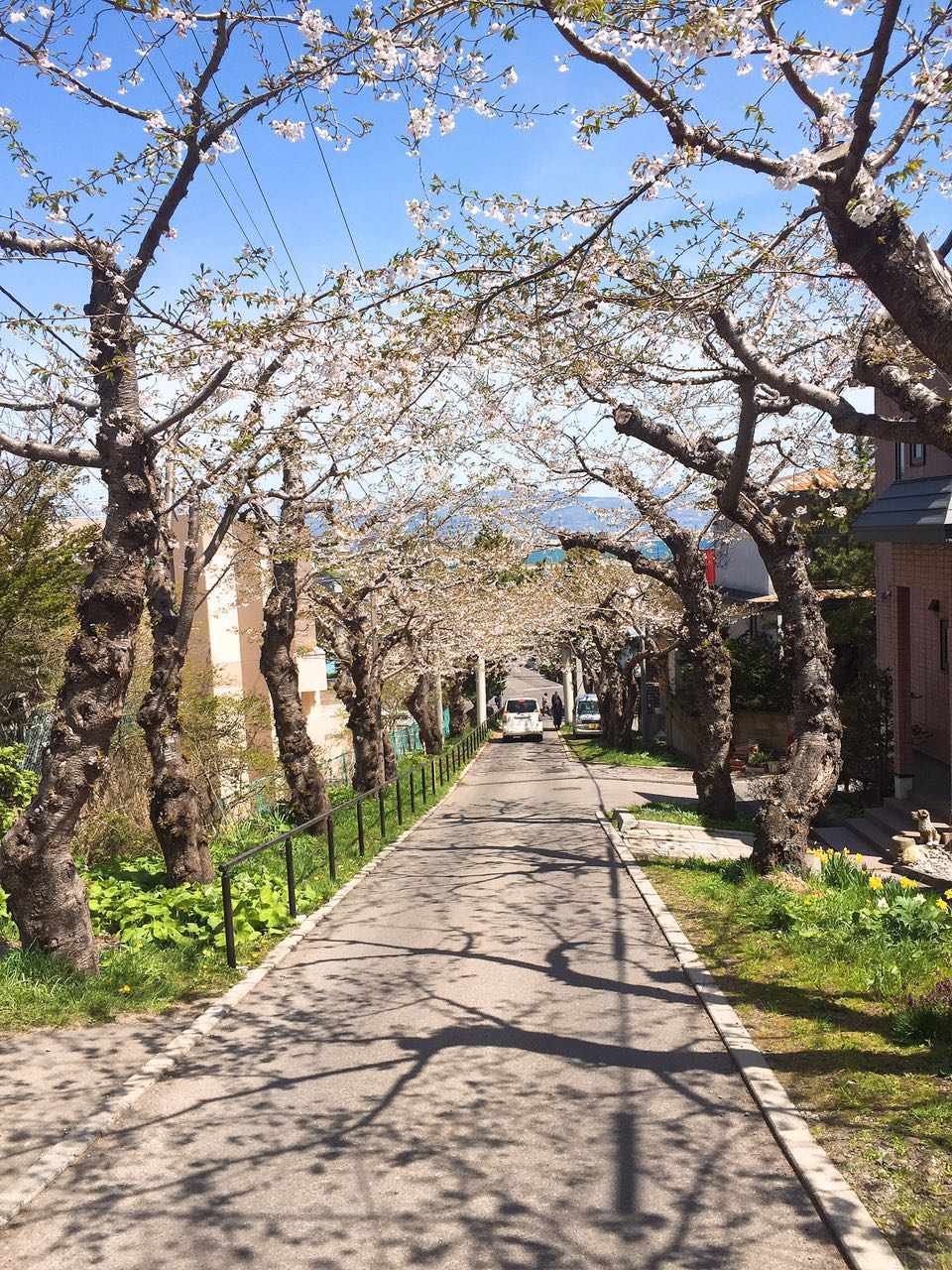 北海道自助遊攻略