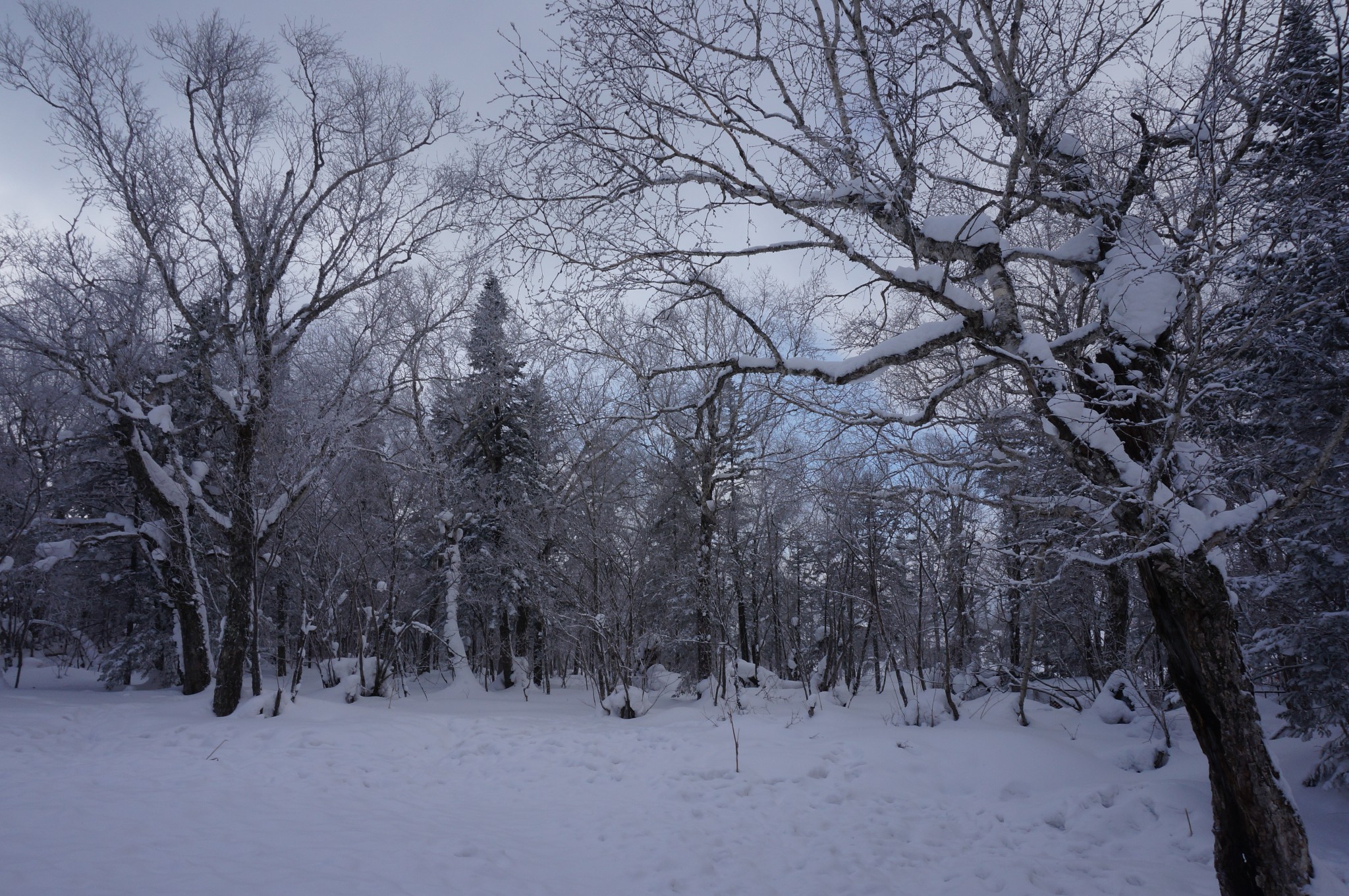 wKgBZ1iQnkyATxurAA_u9TcKj-008.jpeg?imageView2%2F2%2Fw%2F680%2Fq%2F90%7CimageMogr2%2Fstrip%2Fquality%2F90