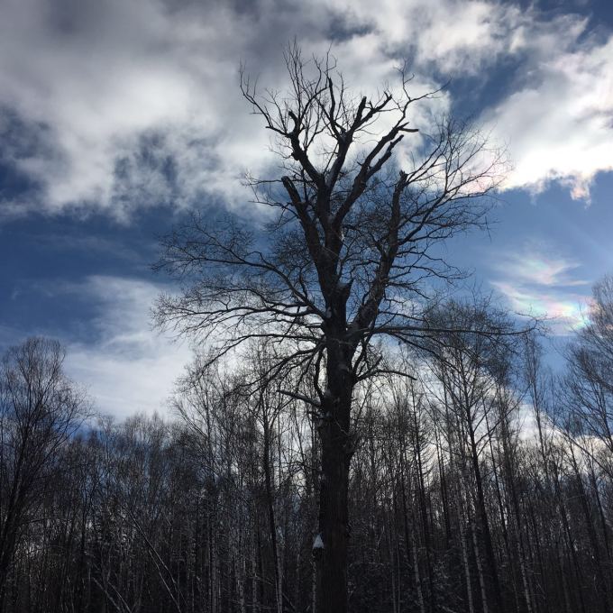 飞蛾扑火什么时候 wKgBZ1ifSteAVHDTAAU756QVZig61.jpeg?imageView2%2F2%2Fw%2F680%2Fq%2F90%7CimageMogr2%2Fstrip%2Fquality%2F90