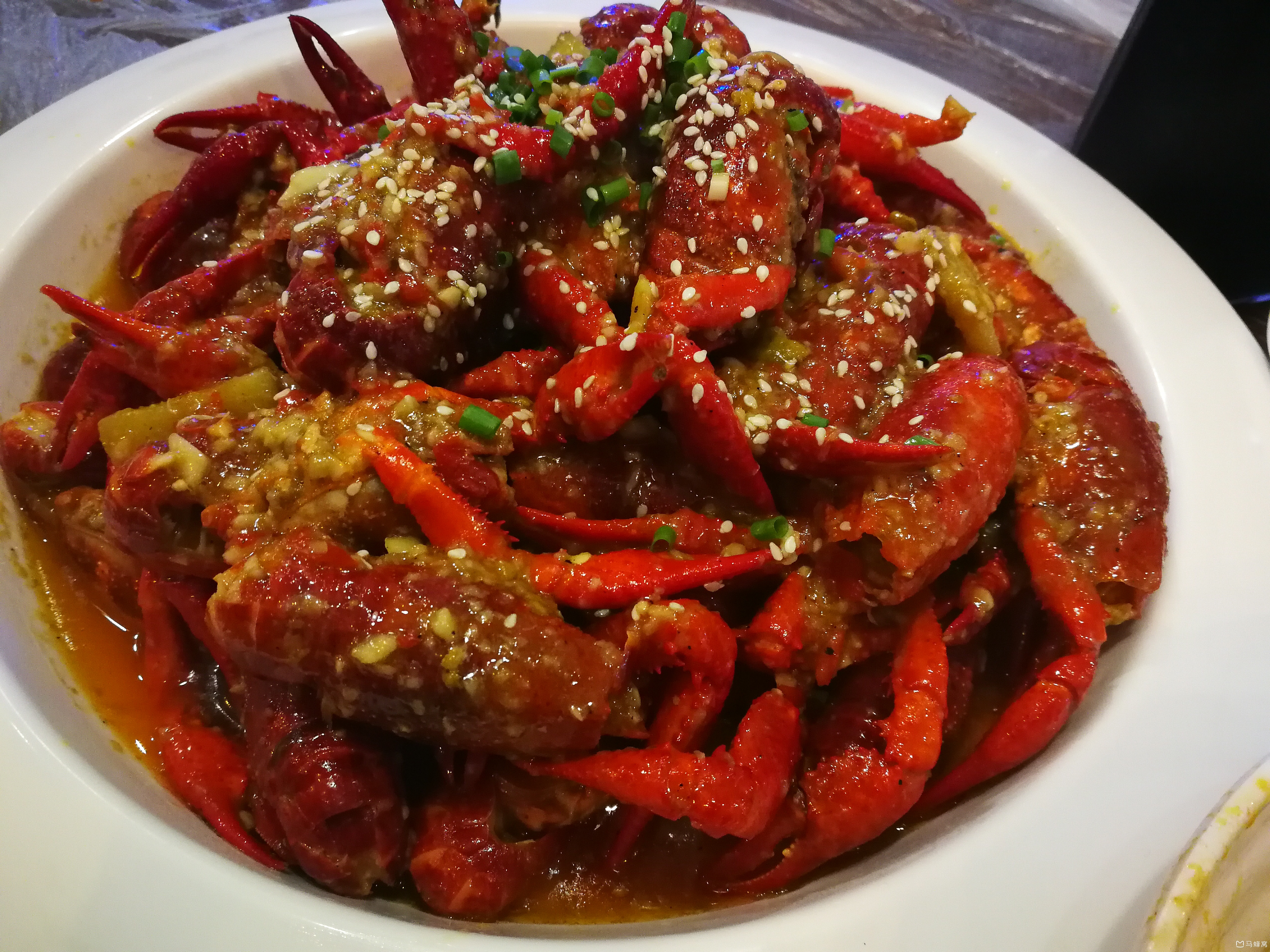 2017-06-15 巴厘龙虾,靓靓蒸虾,虾皇 点击查看大图 点击查看大图 0