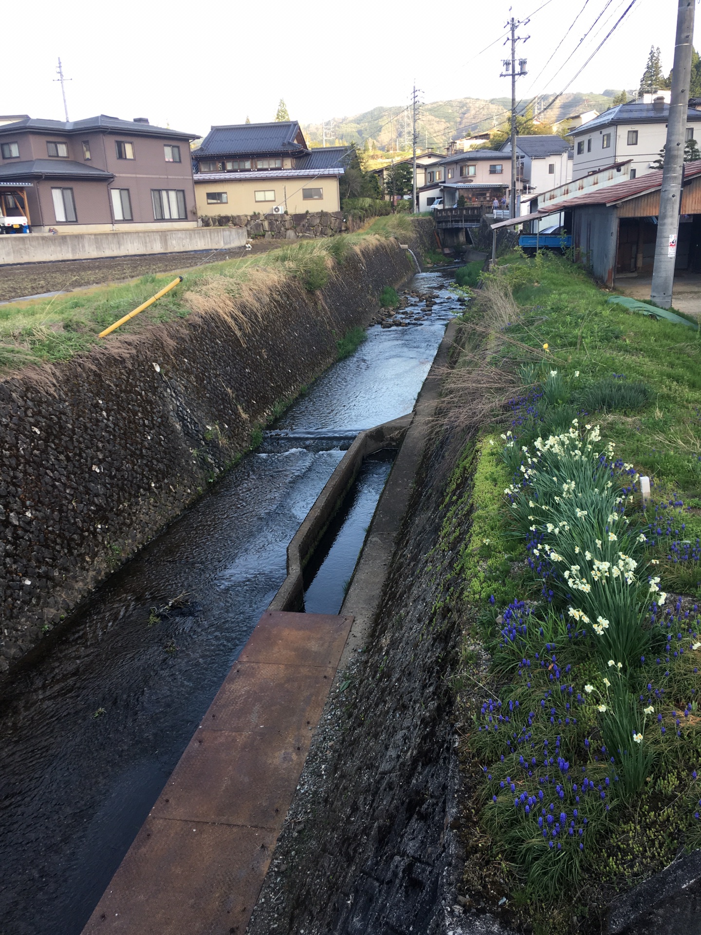 名古屋自助遊攻略