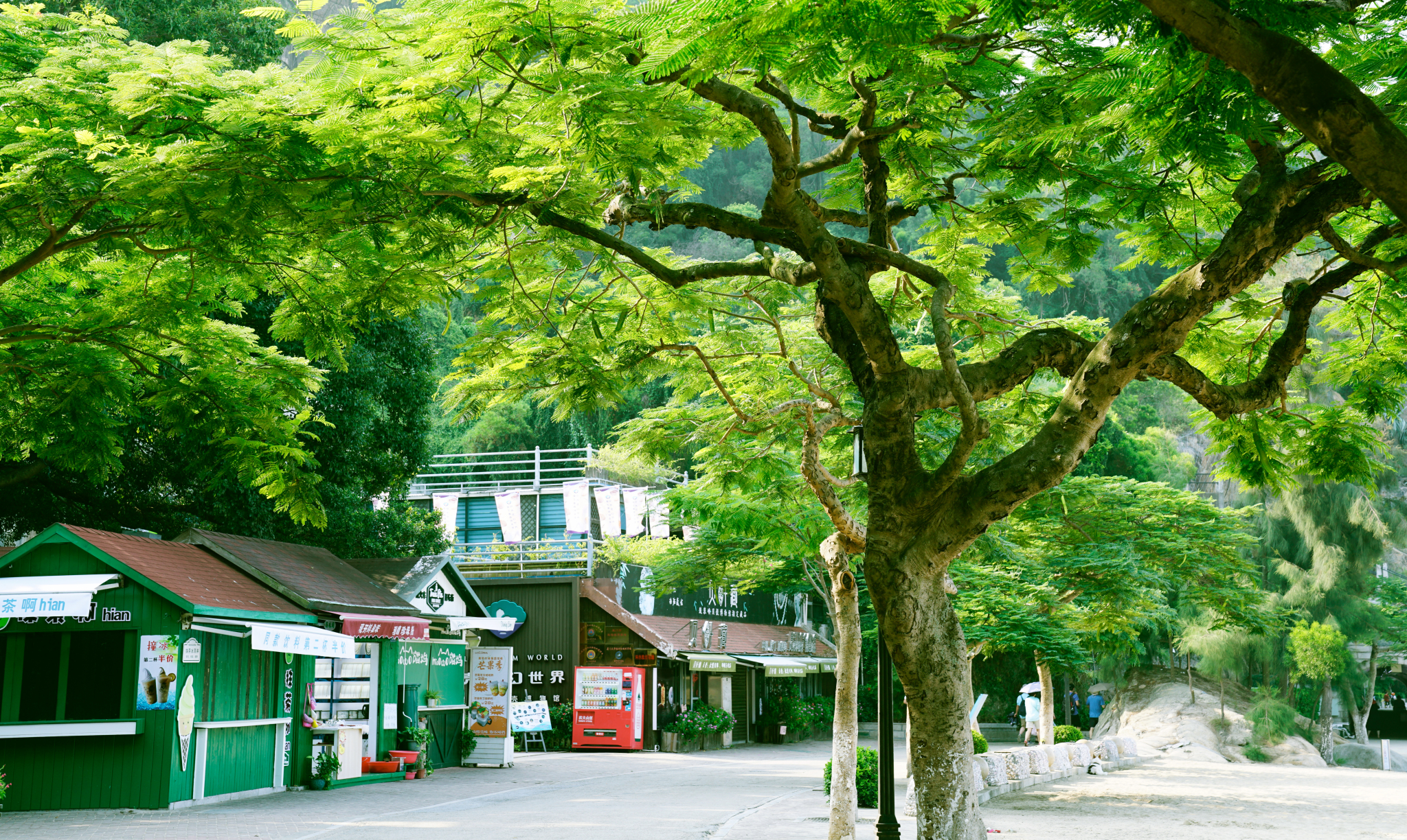 鼓浪嶼自助遊攻略