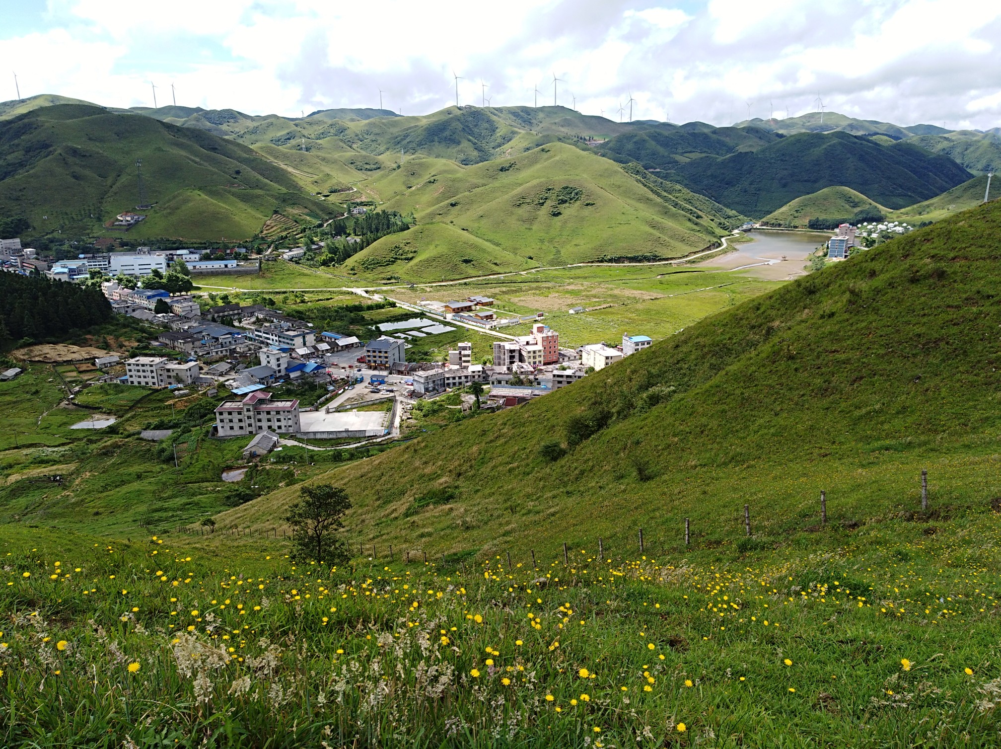 南山大草原,牧場