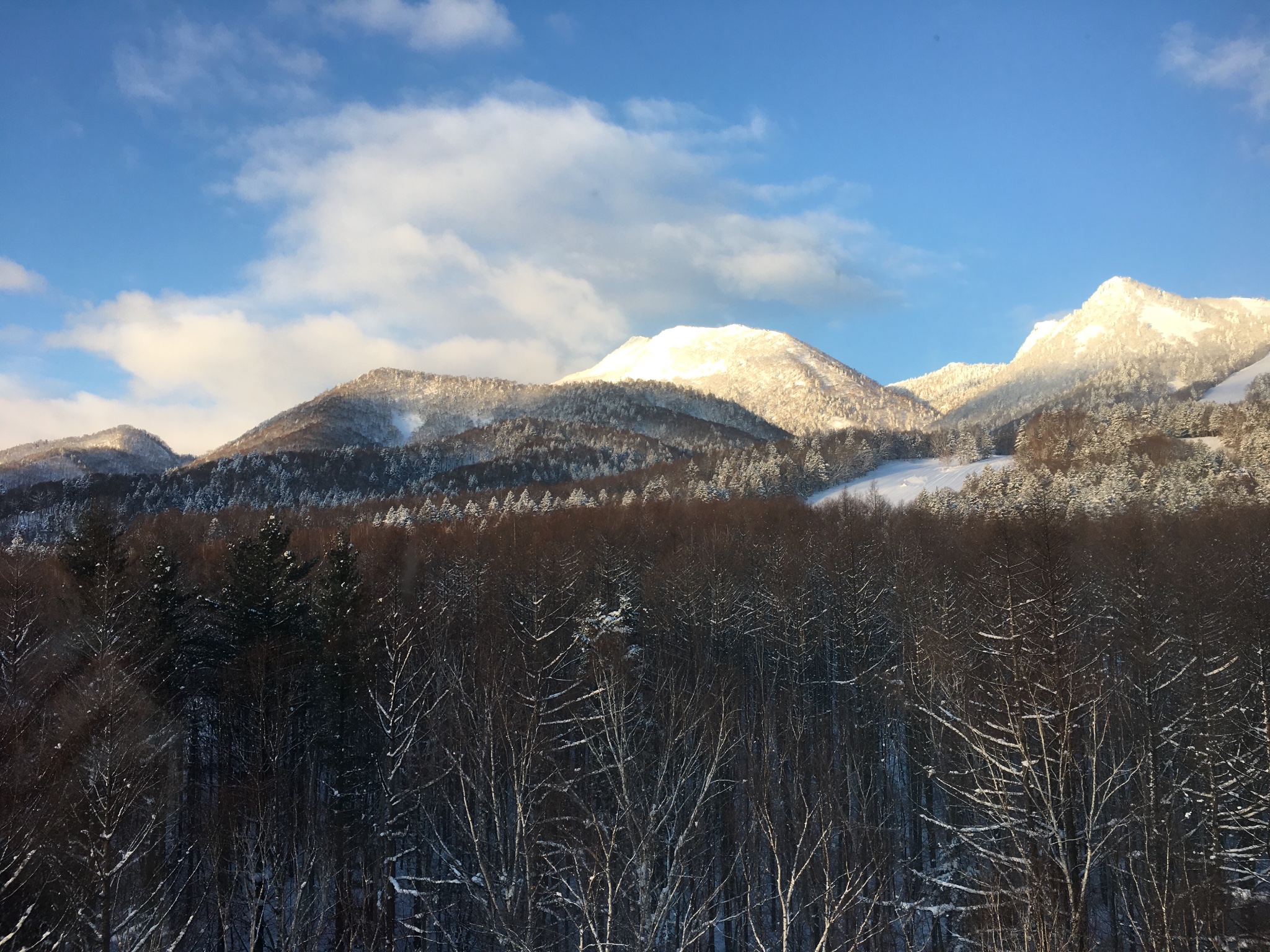 北海道自助遊攻略