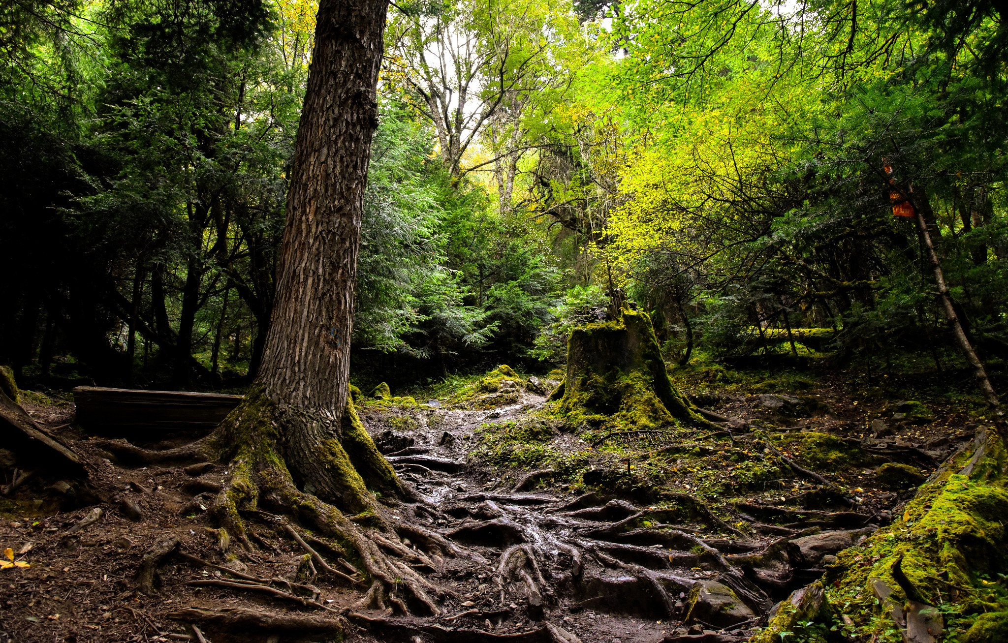 雲南自助遊攻略