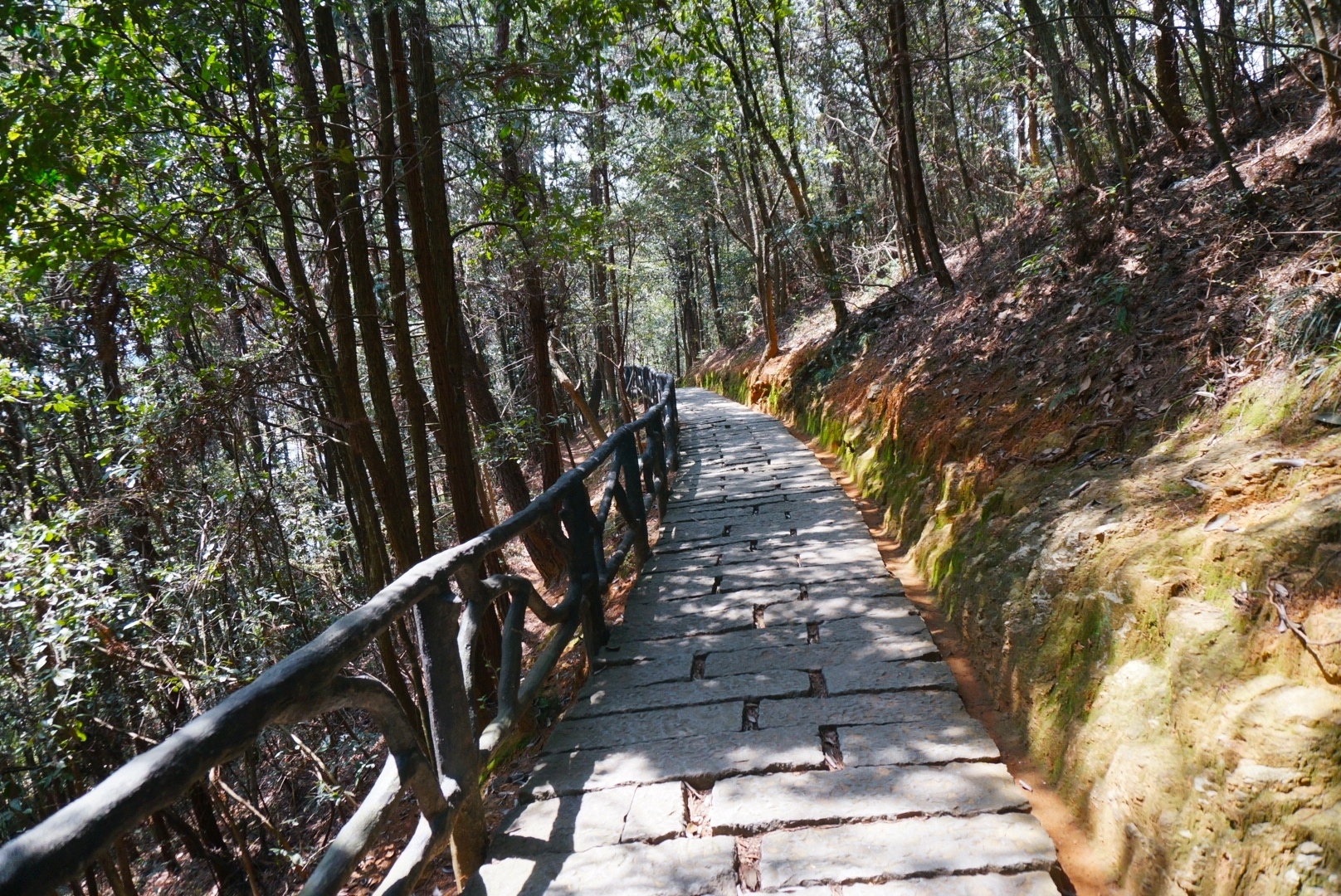 千島湖自助遊攻略