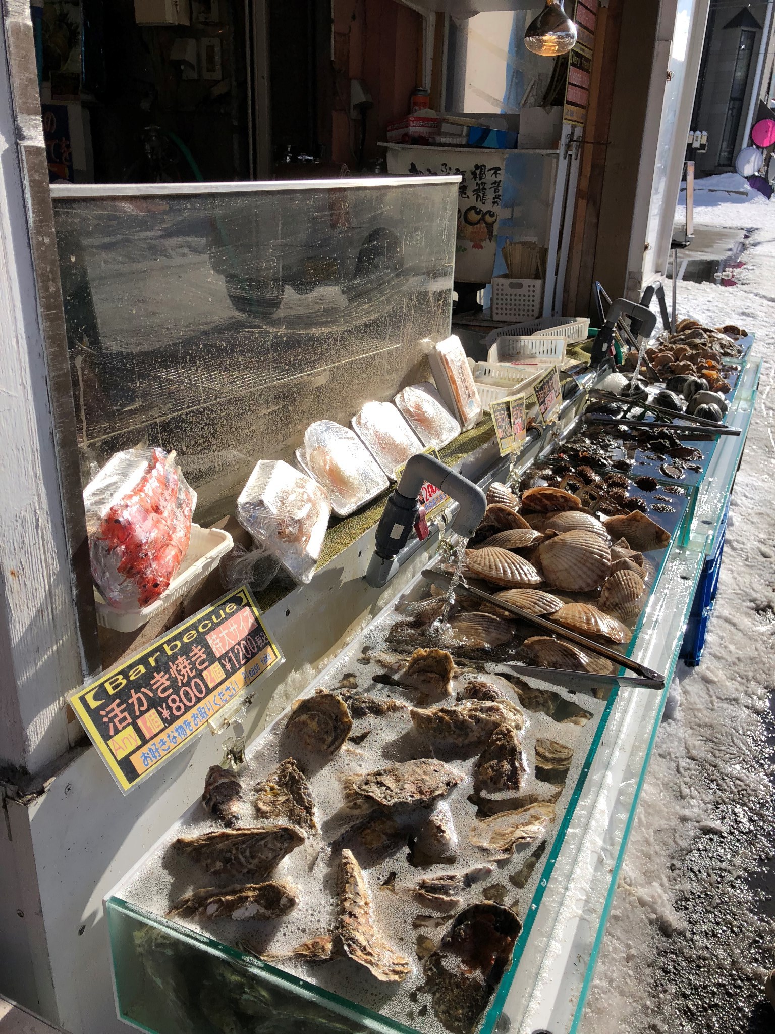 札幌自助遊攻略