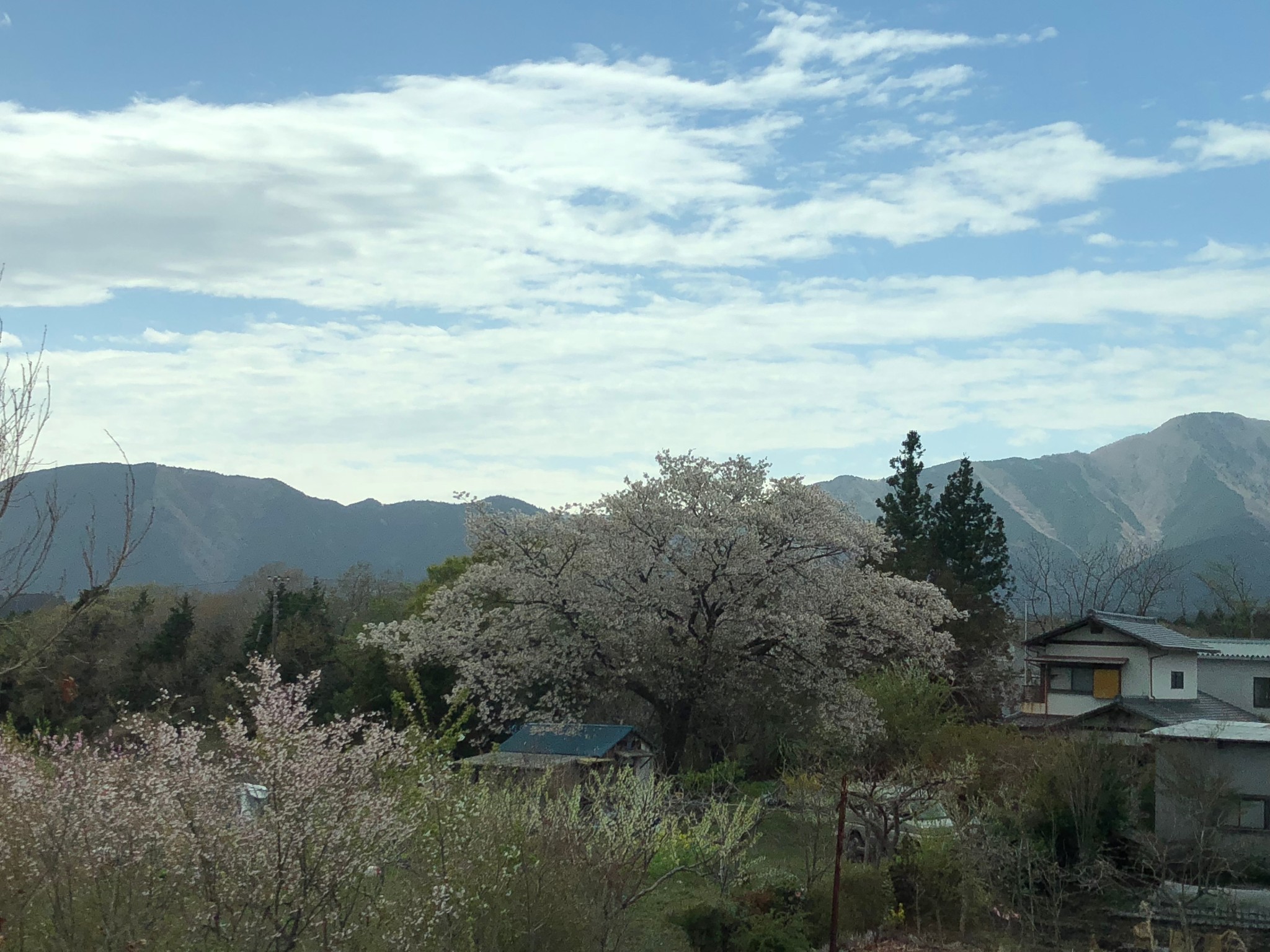 富士山自助遊攻略