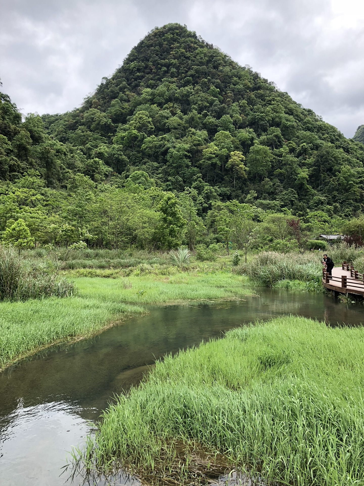 荔波自助遊攻略