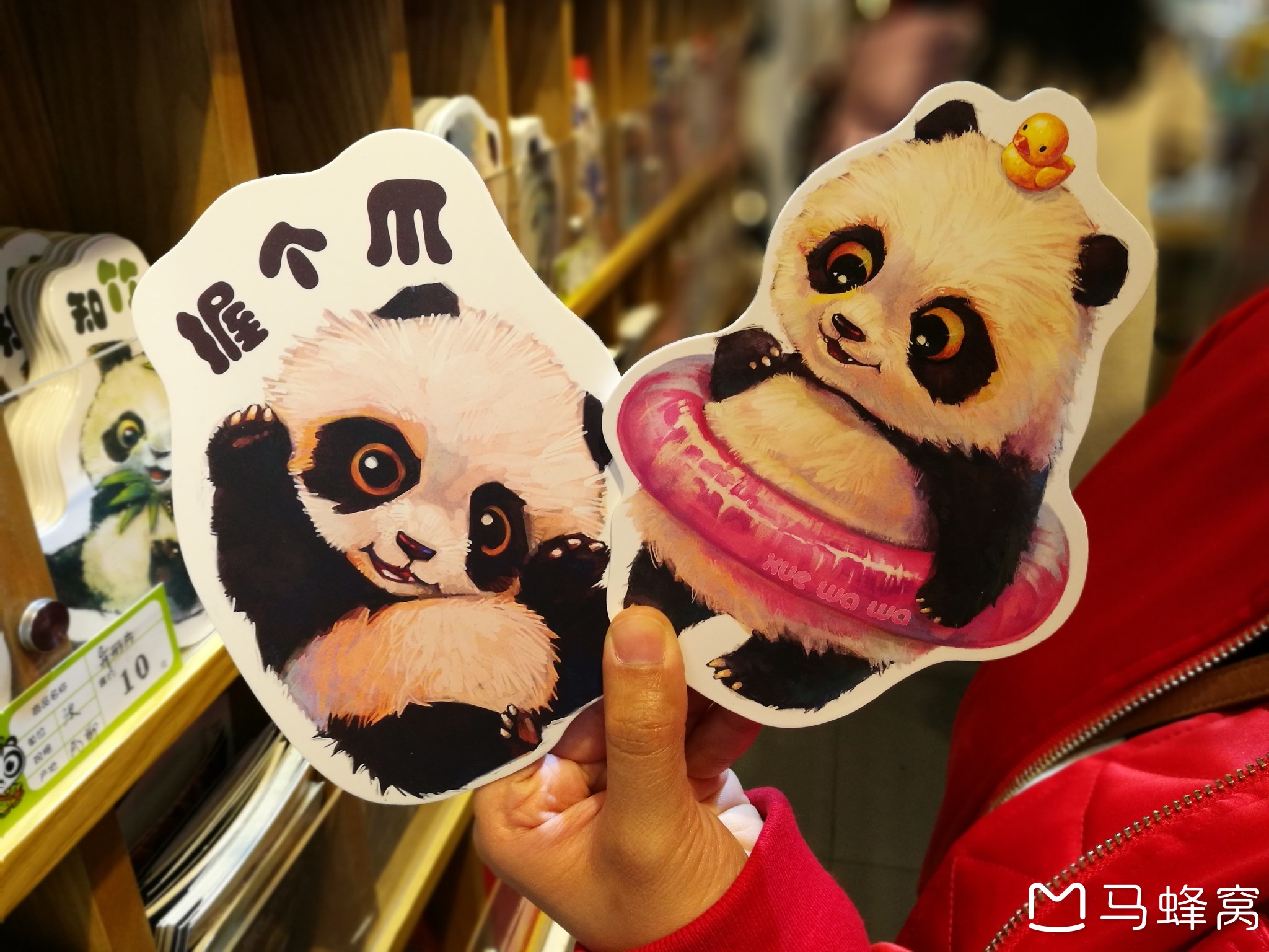 带上相机跟我一起出发,感受美食、美景。我和