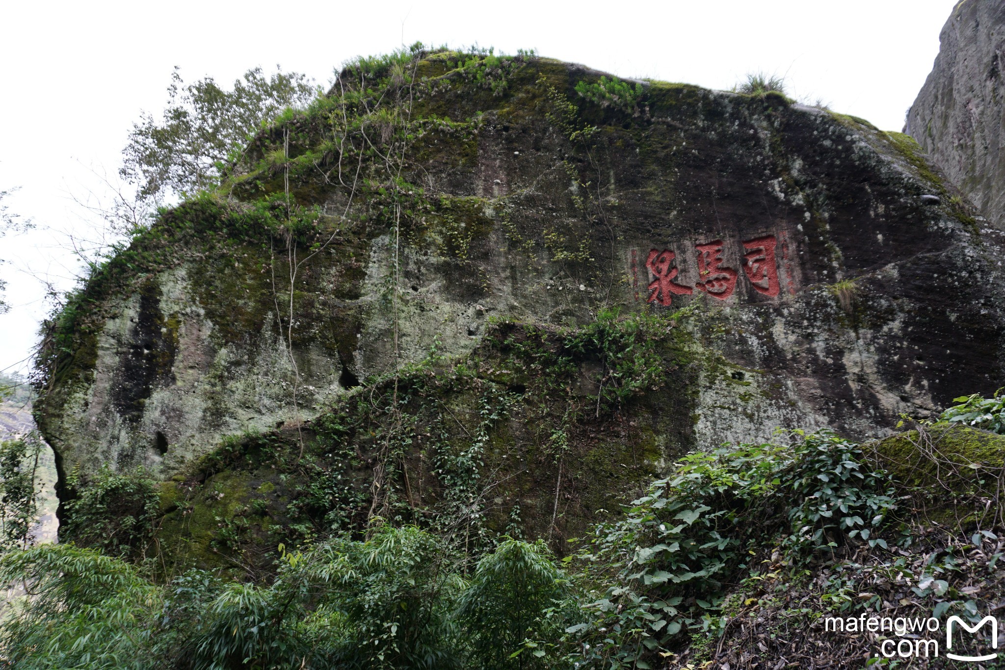 武夷山自助遊攻略