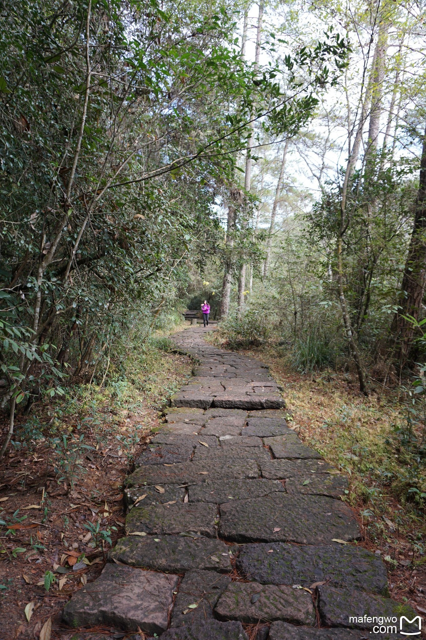 武夷山自助遊攻略