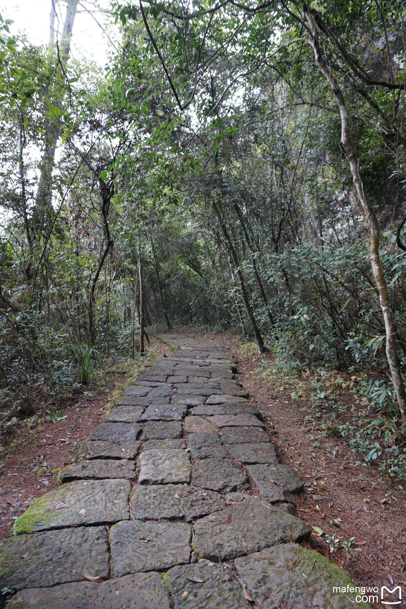 武夷山自助遊攻略