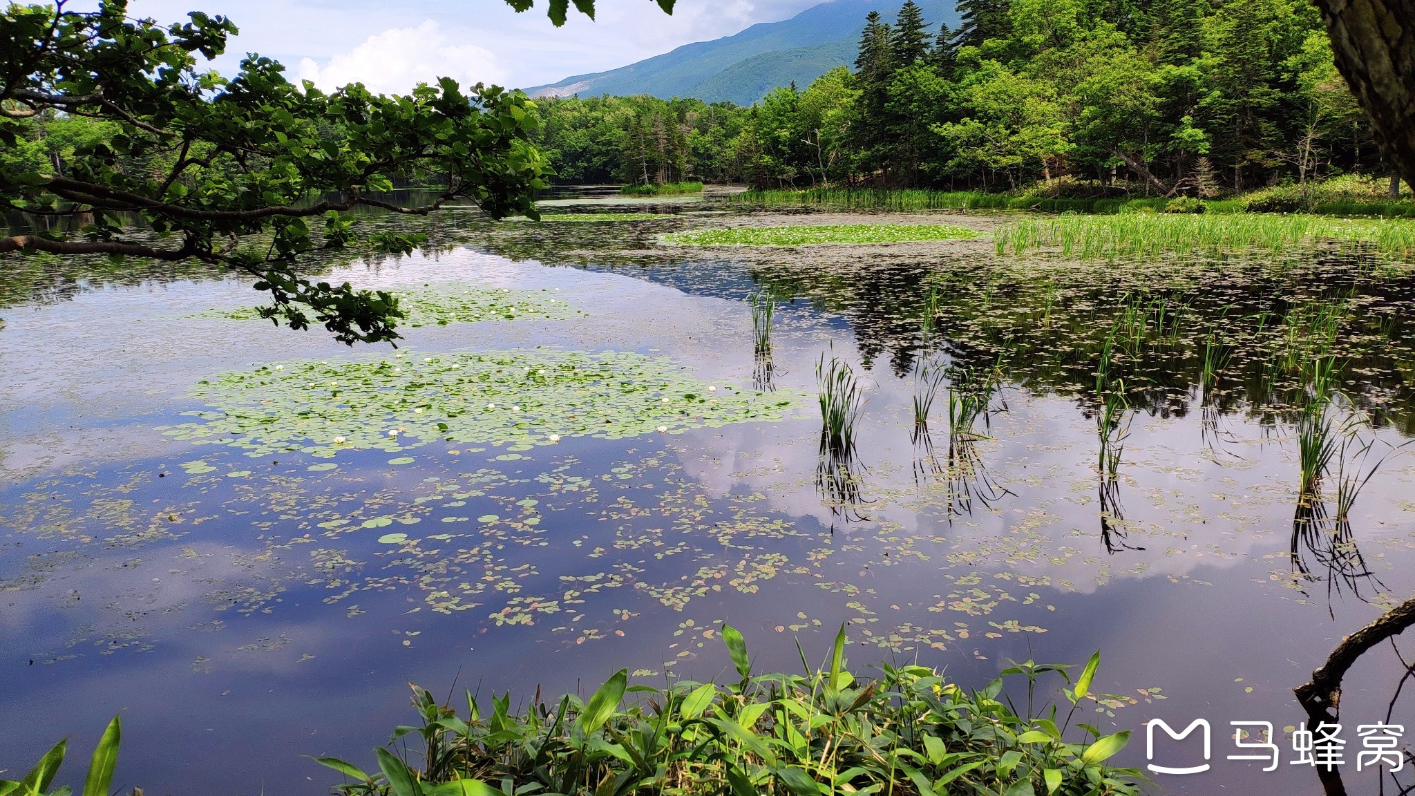 北海道自助遊攻略