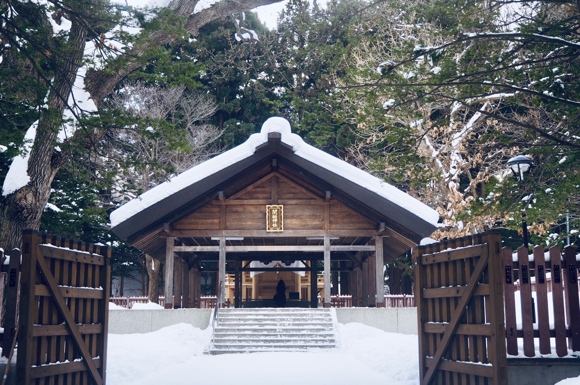 北海道自助遊攻略