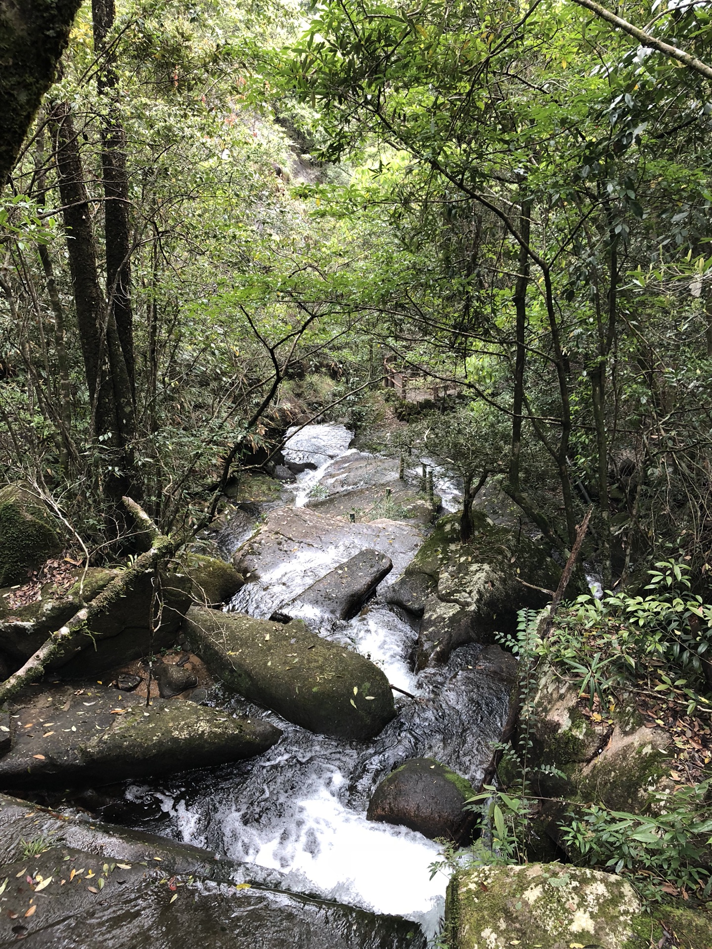 武夷山自助遊攻略