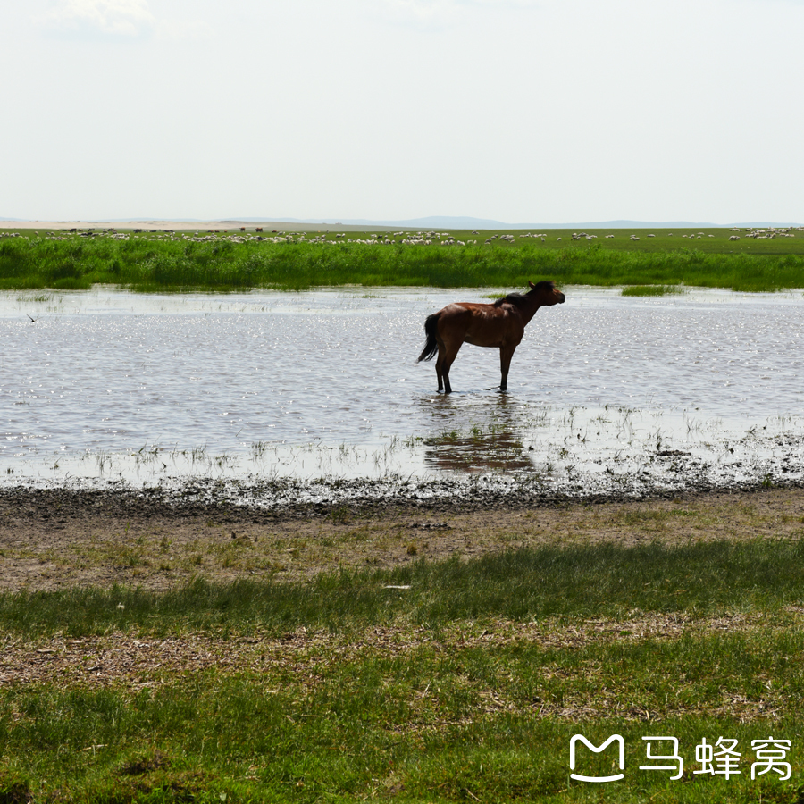 阿爾山自助遊攻略