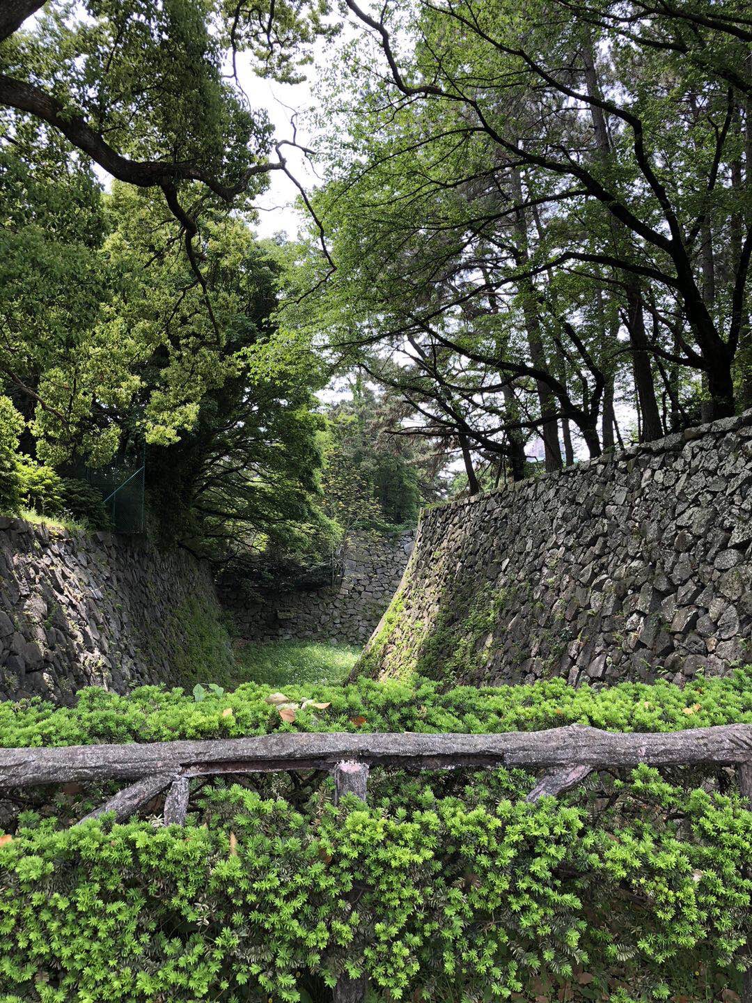 名古屋自助遊攻略