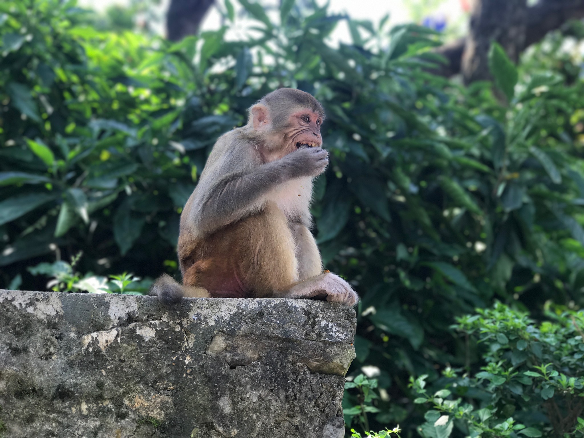 尼泊爾自助遊攻略