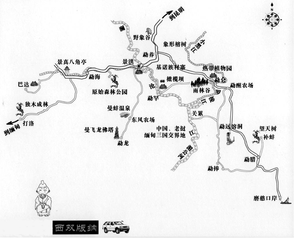 西雙版納熱門線路 中科院植物園 雨林谷包車旅遊一日遊(植物王國 小