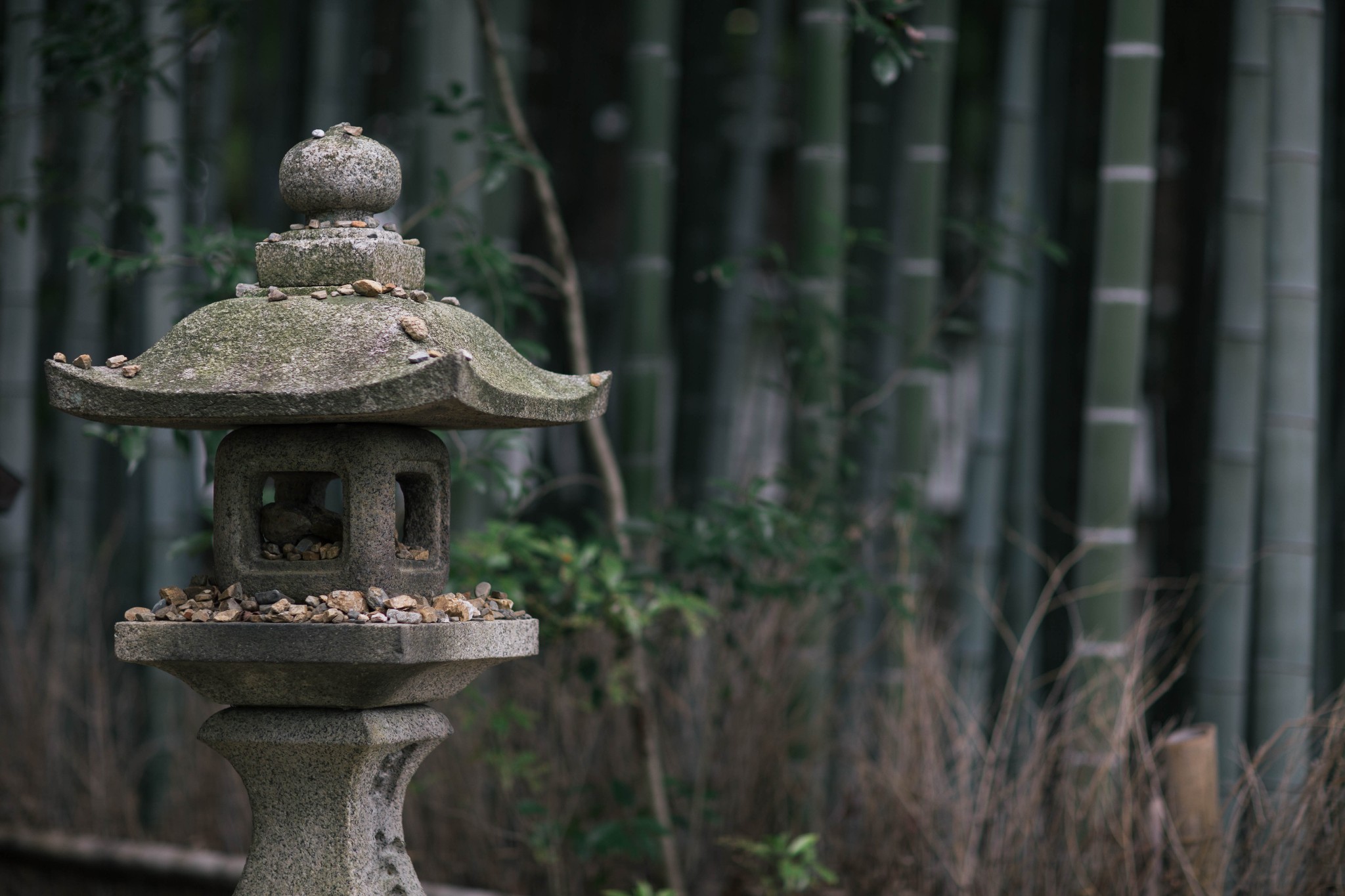 京都自助遊攻略