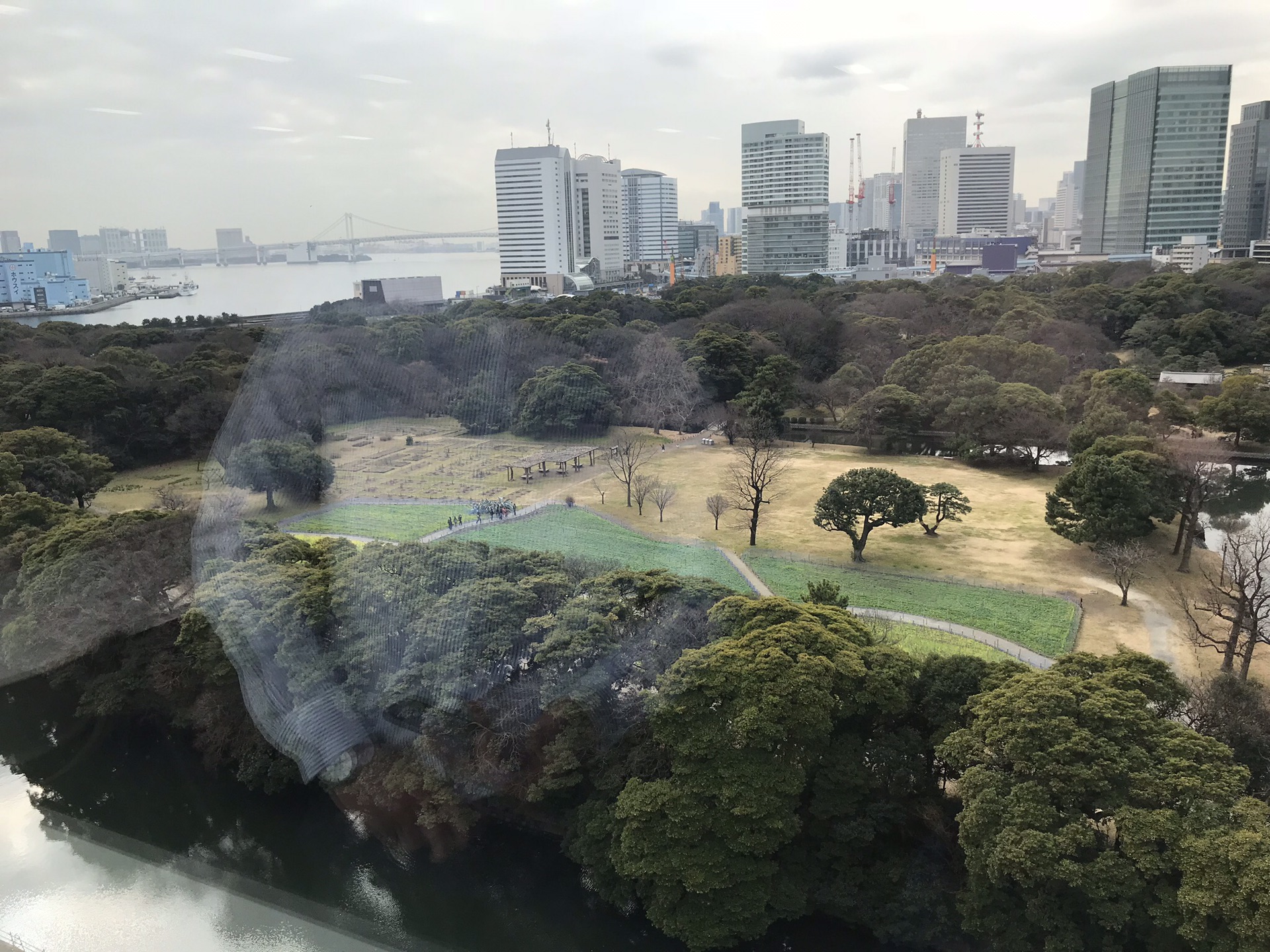 東京自助遊攻略