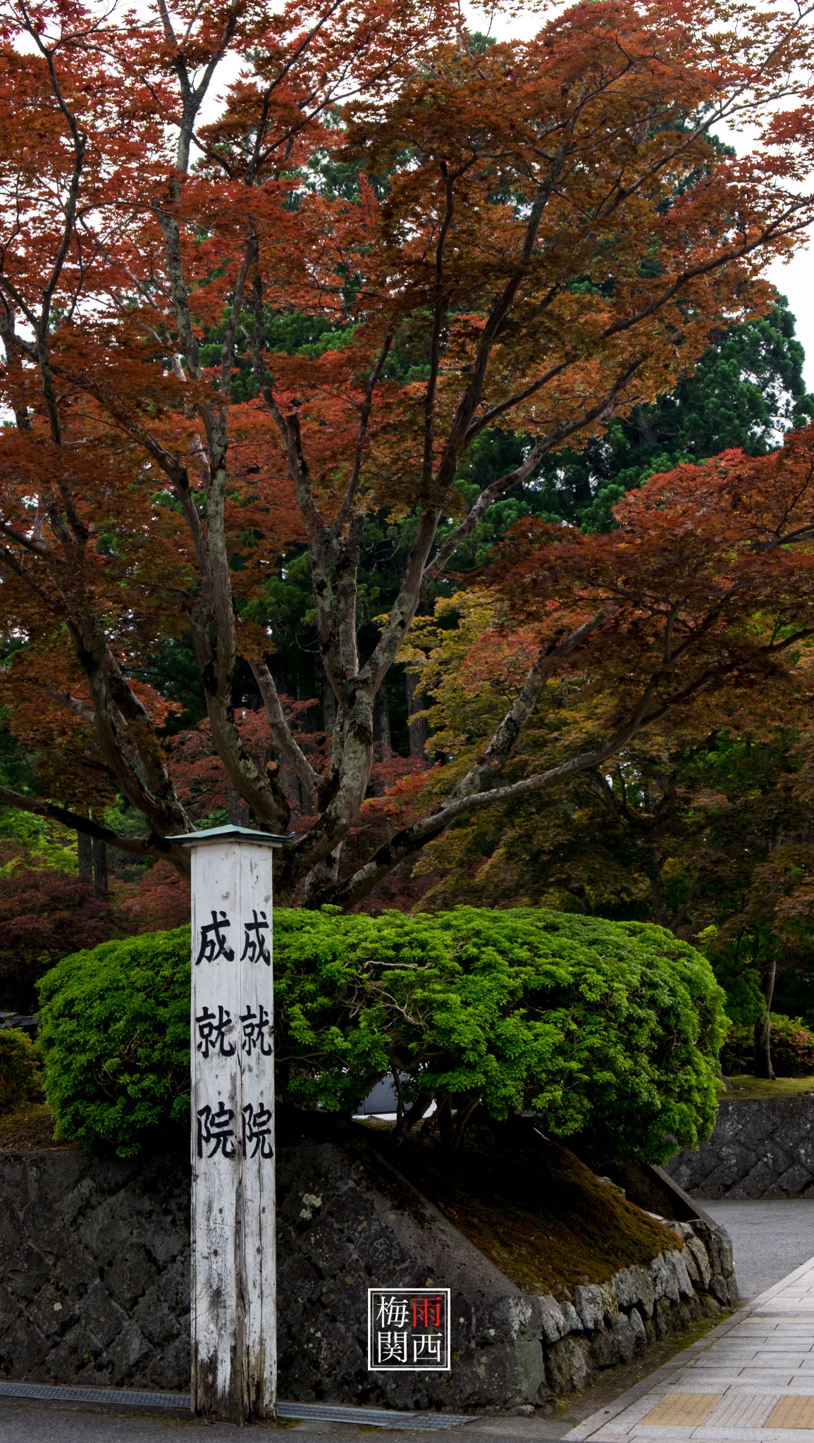 京都自助遊攻略