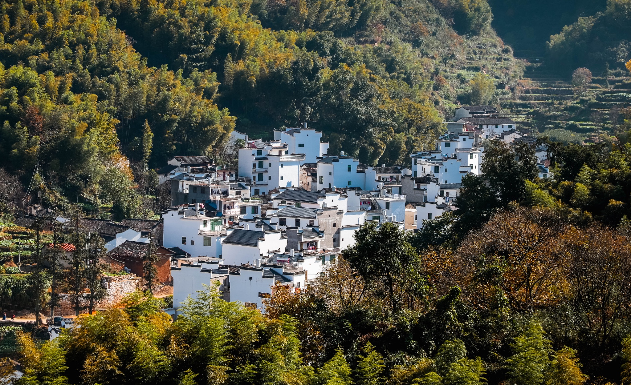 婺源自助遊攻略