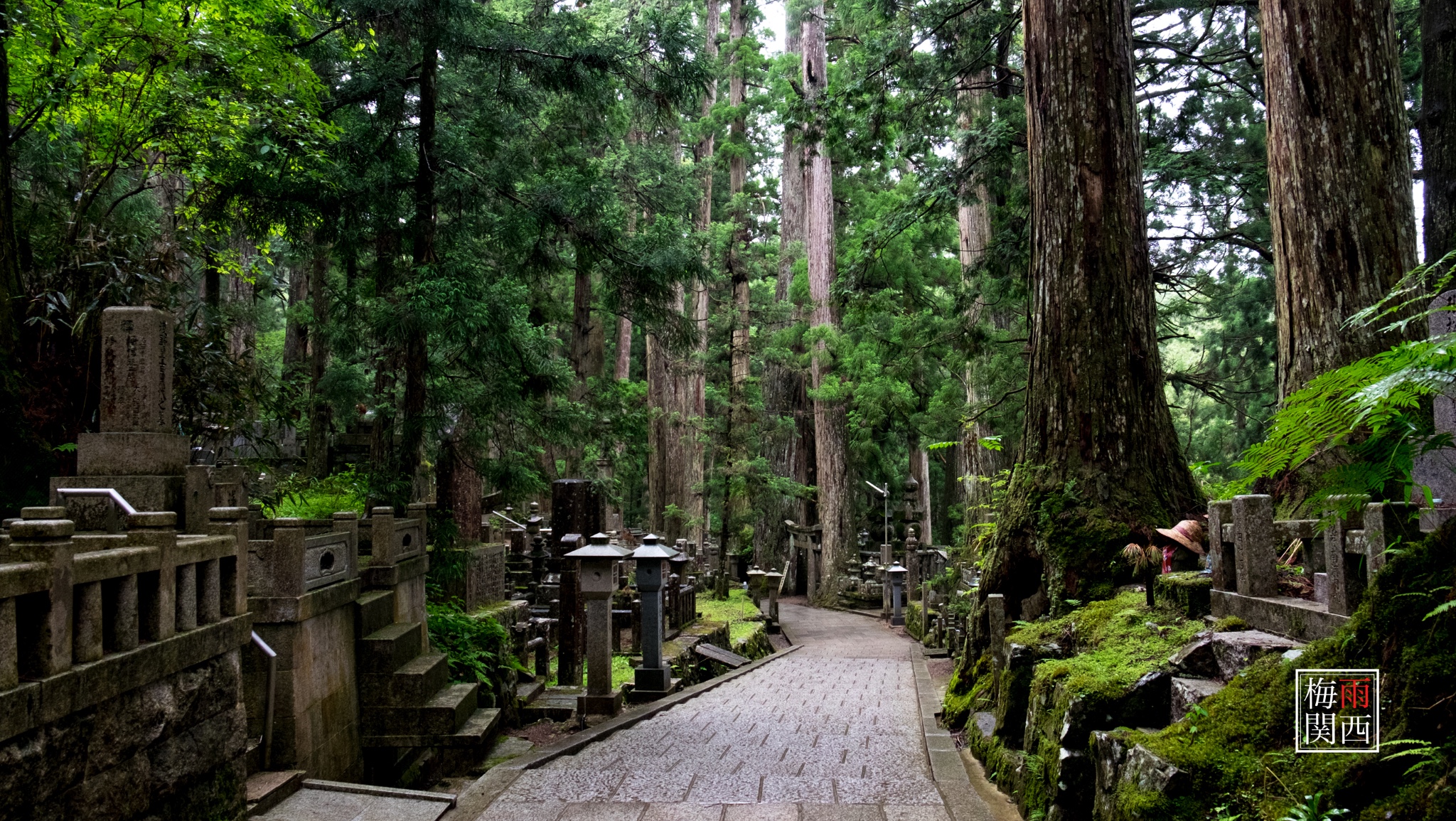 京都自助遊攻略