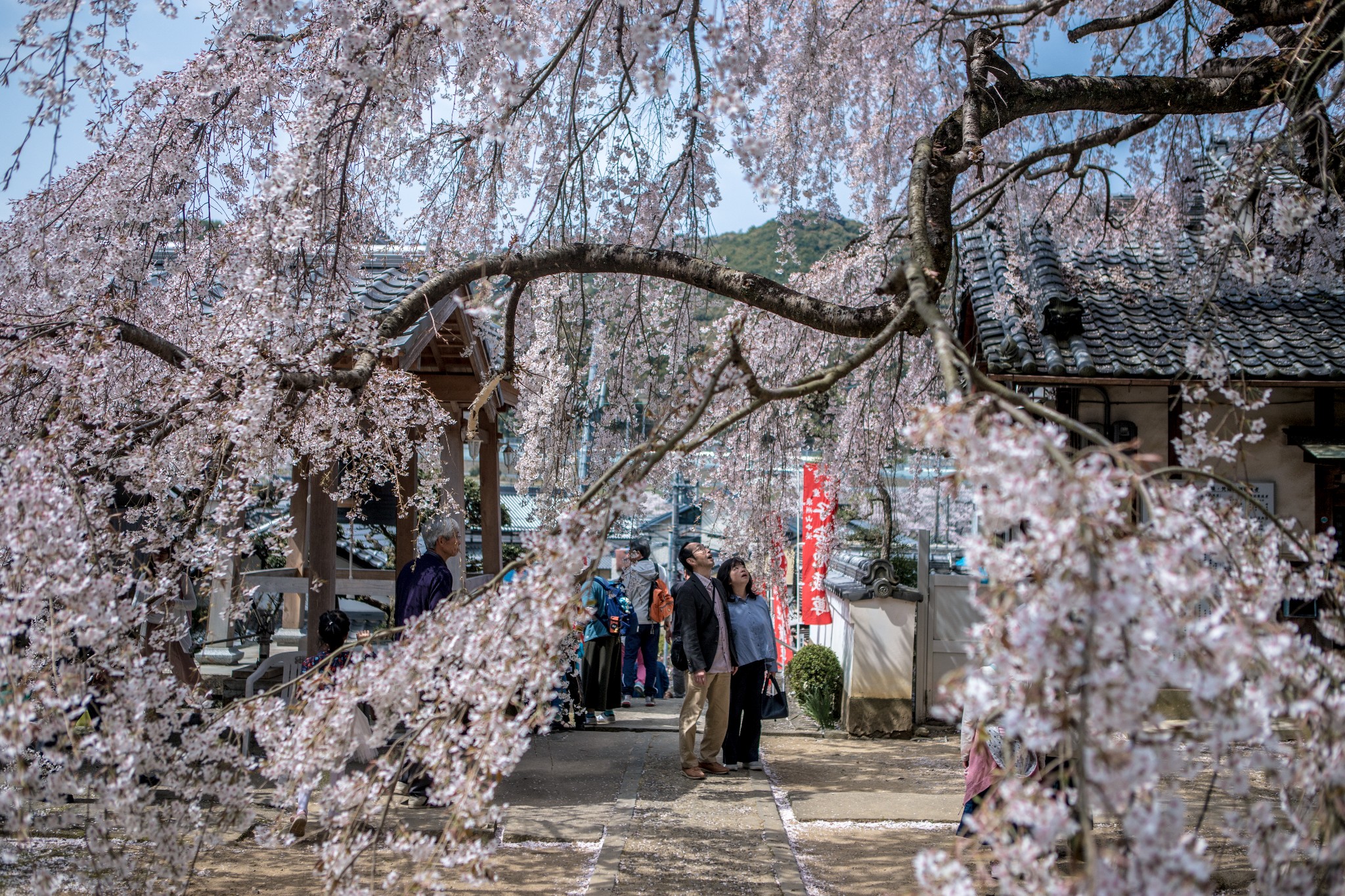 和歌山市自助遊攻略