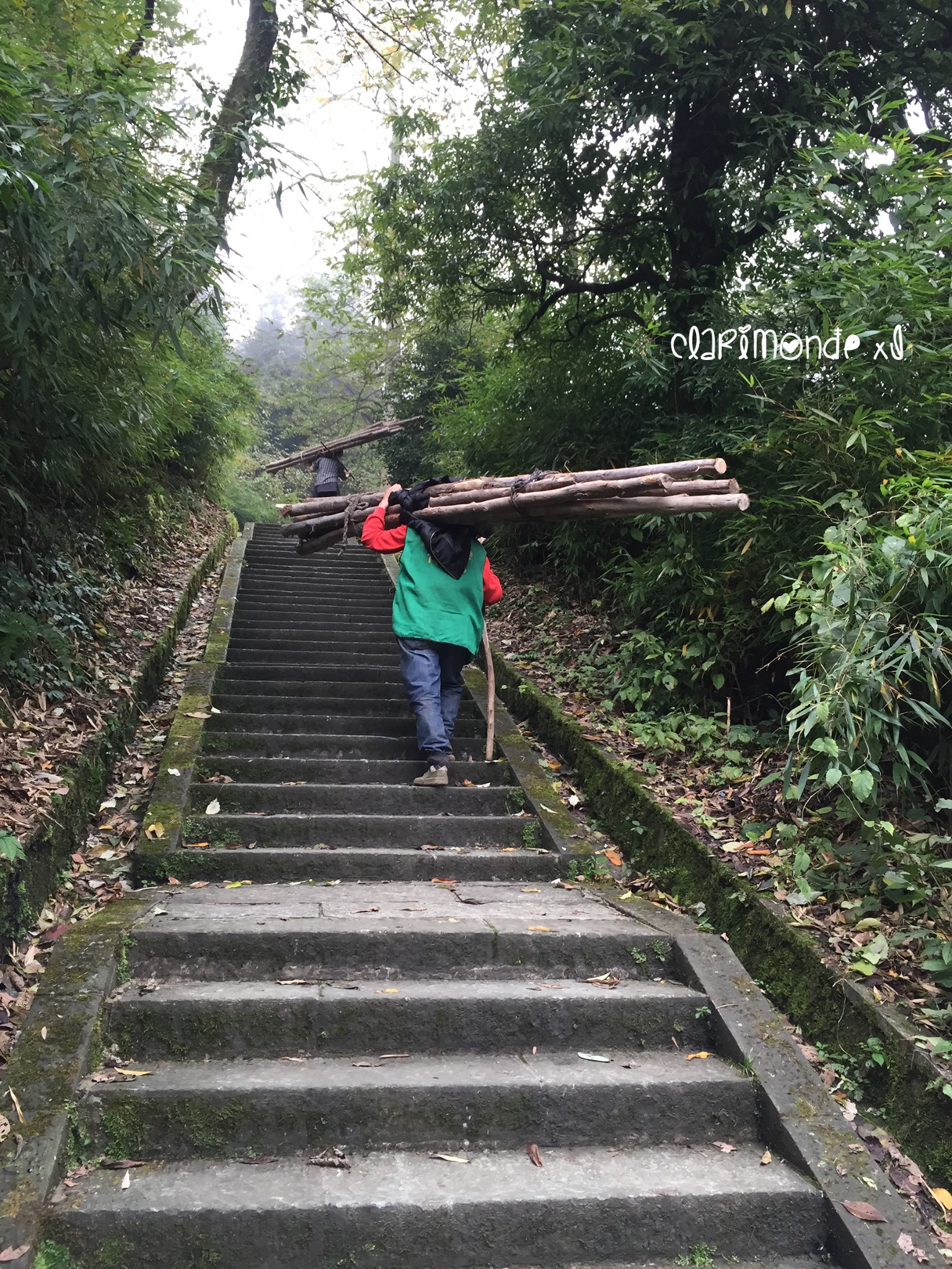 峨眉山自助遊攻略