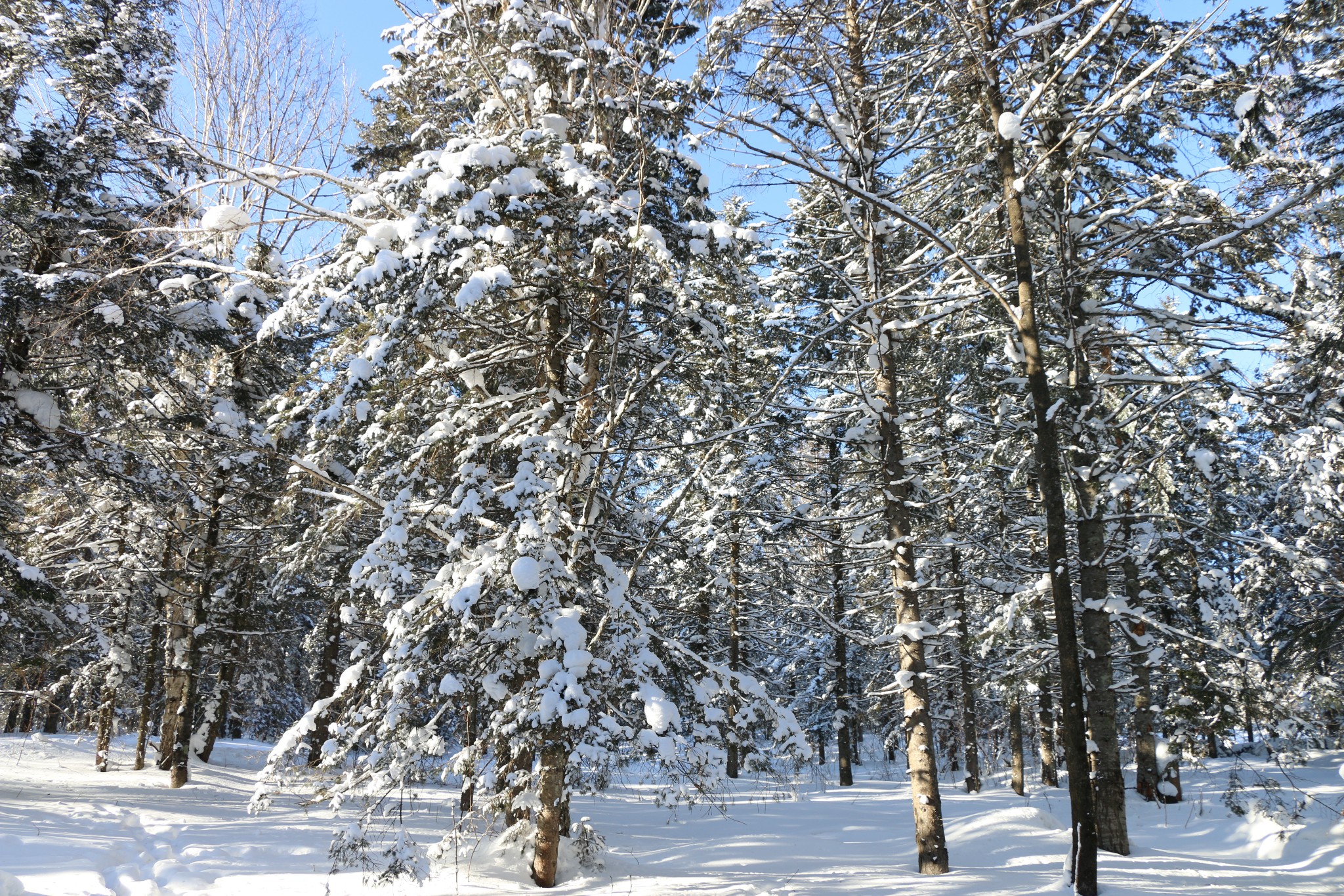 雪鄉自助遊攻略