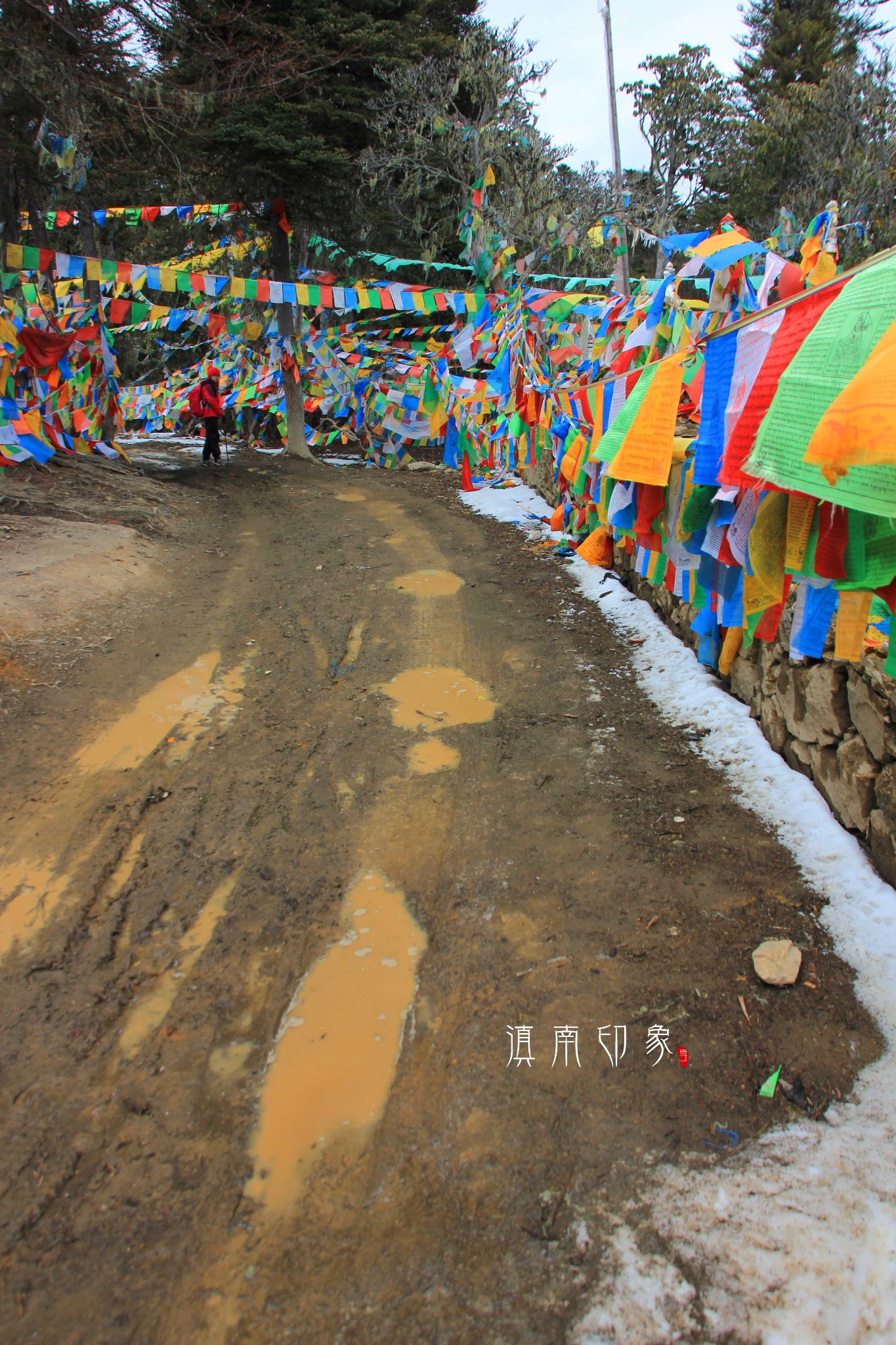 梅里雪山自助遊攻略