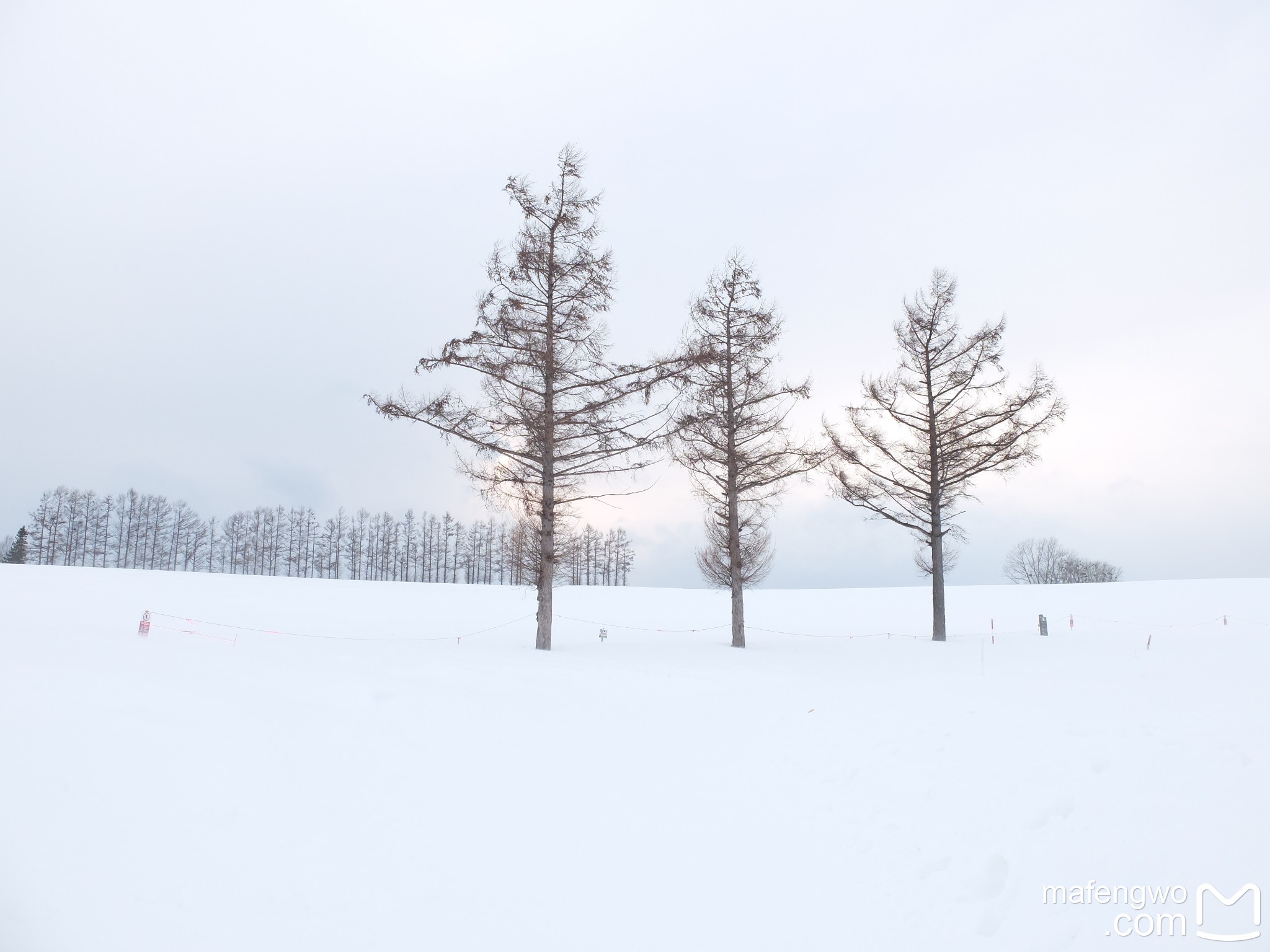 北海道自助遊攻略