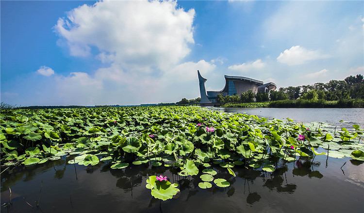 铁岭莲花湖国家湿地公园(当天可定 全家出游 踏青观景 荷花池边休闲