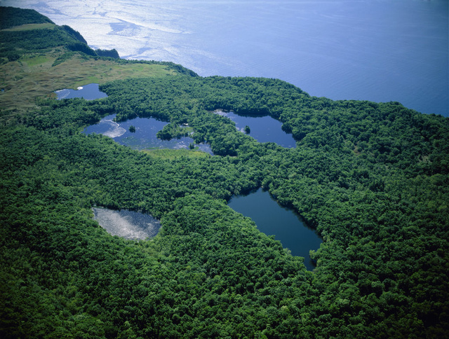 北海道自助遊攻略