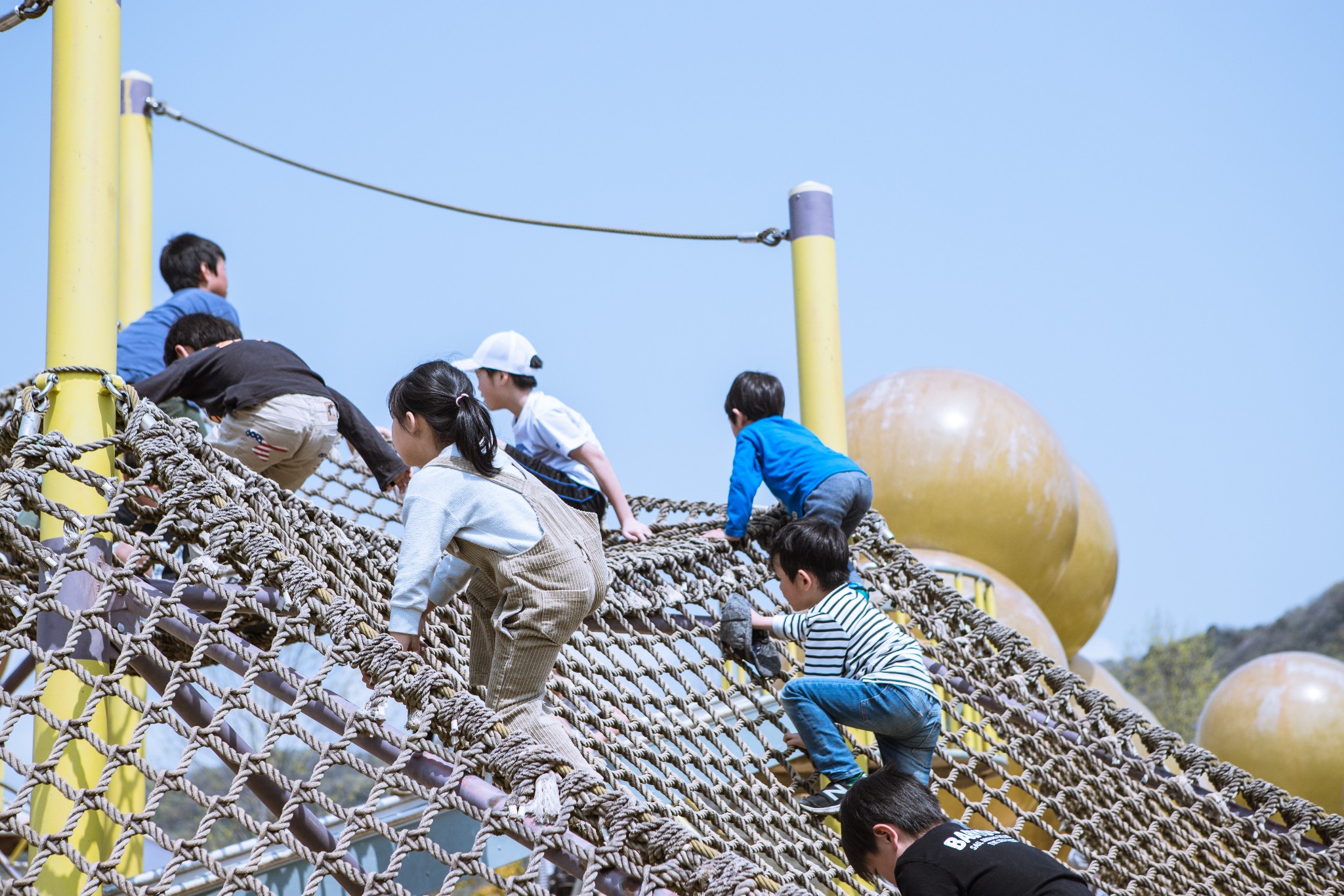 和歌山市自助遊攻略