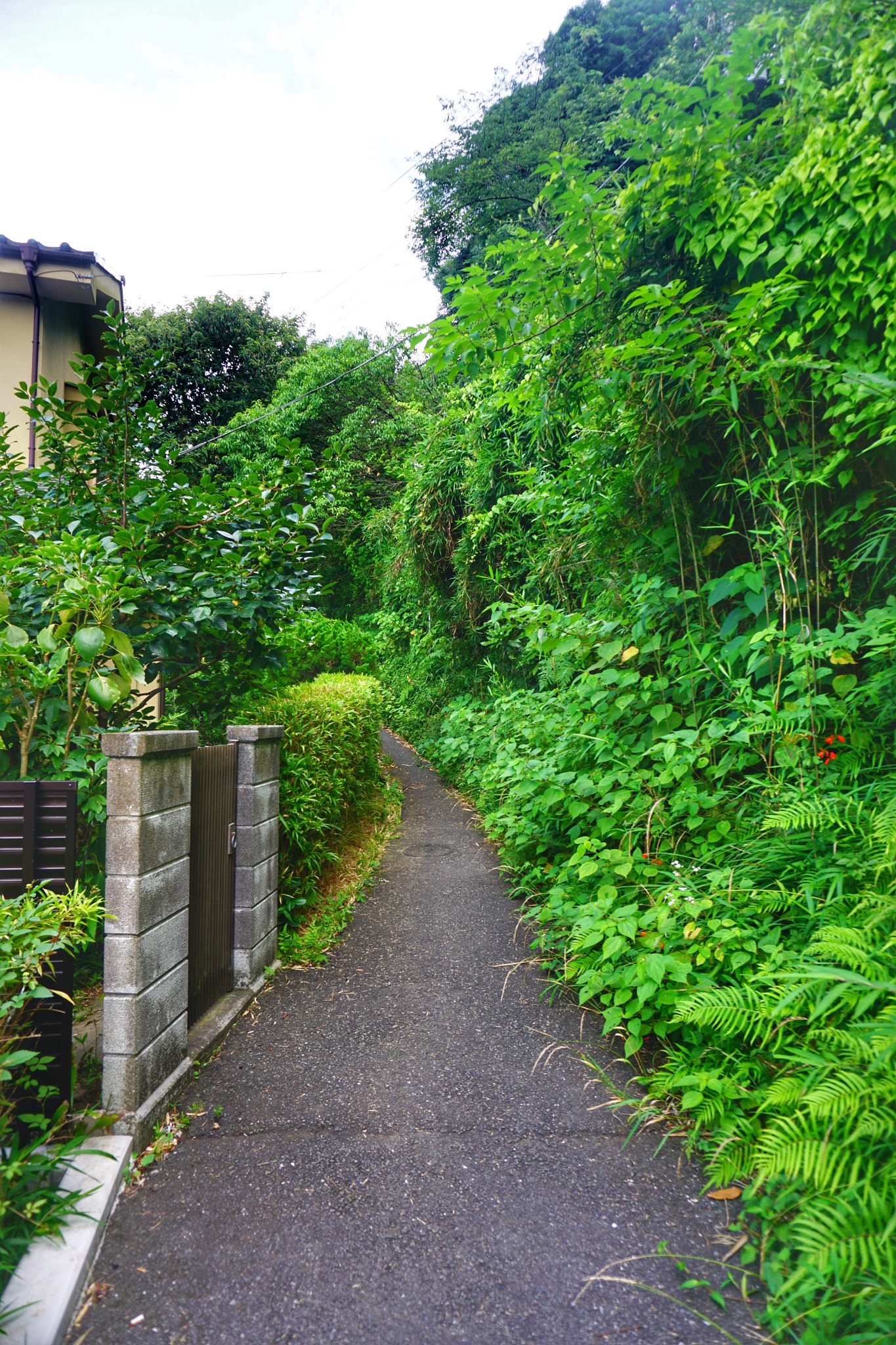 東京自助遊攻略