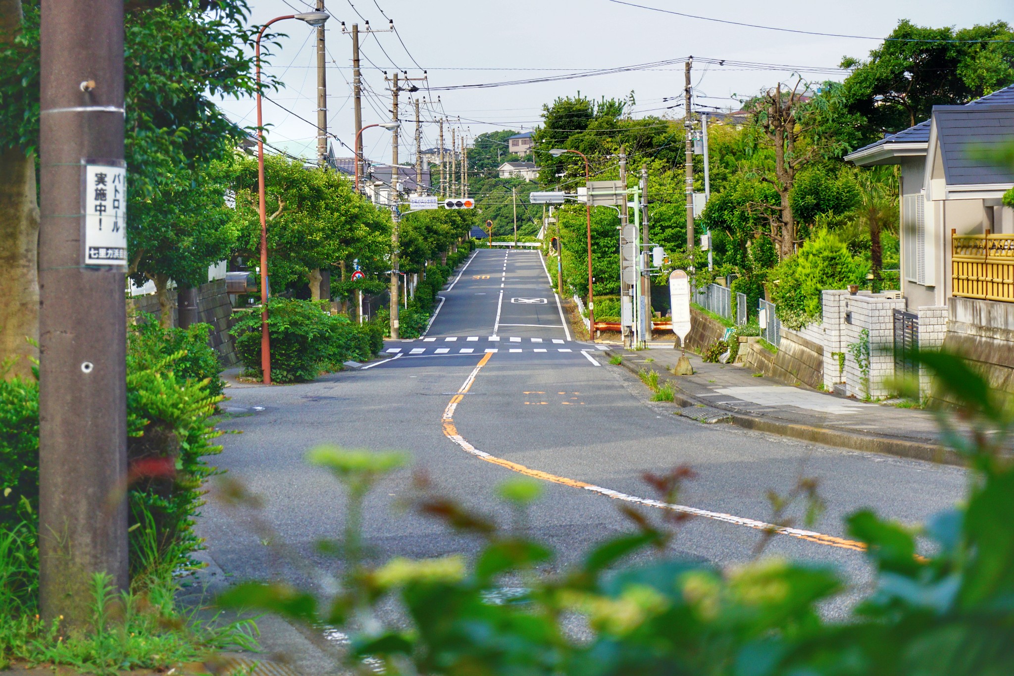 東京自助遊攻略