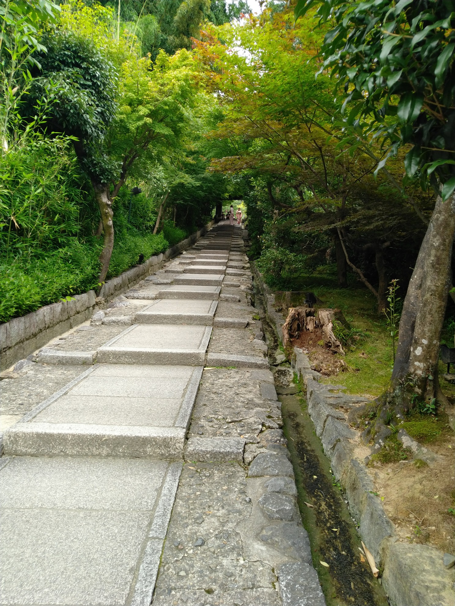 京都自助遊攻略