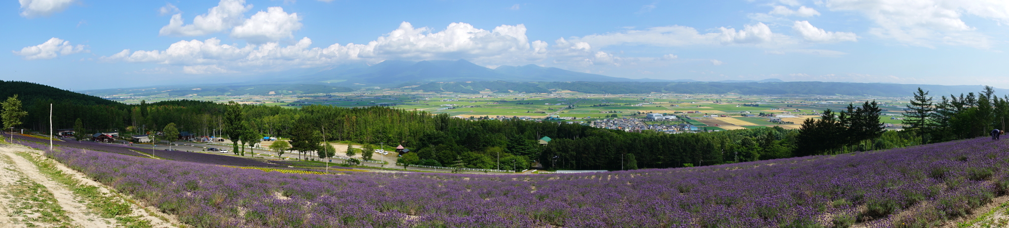 北海道自助遊攻略