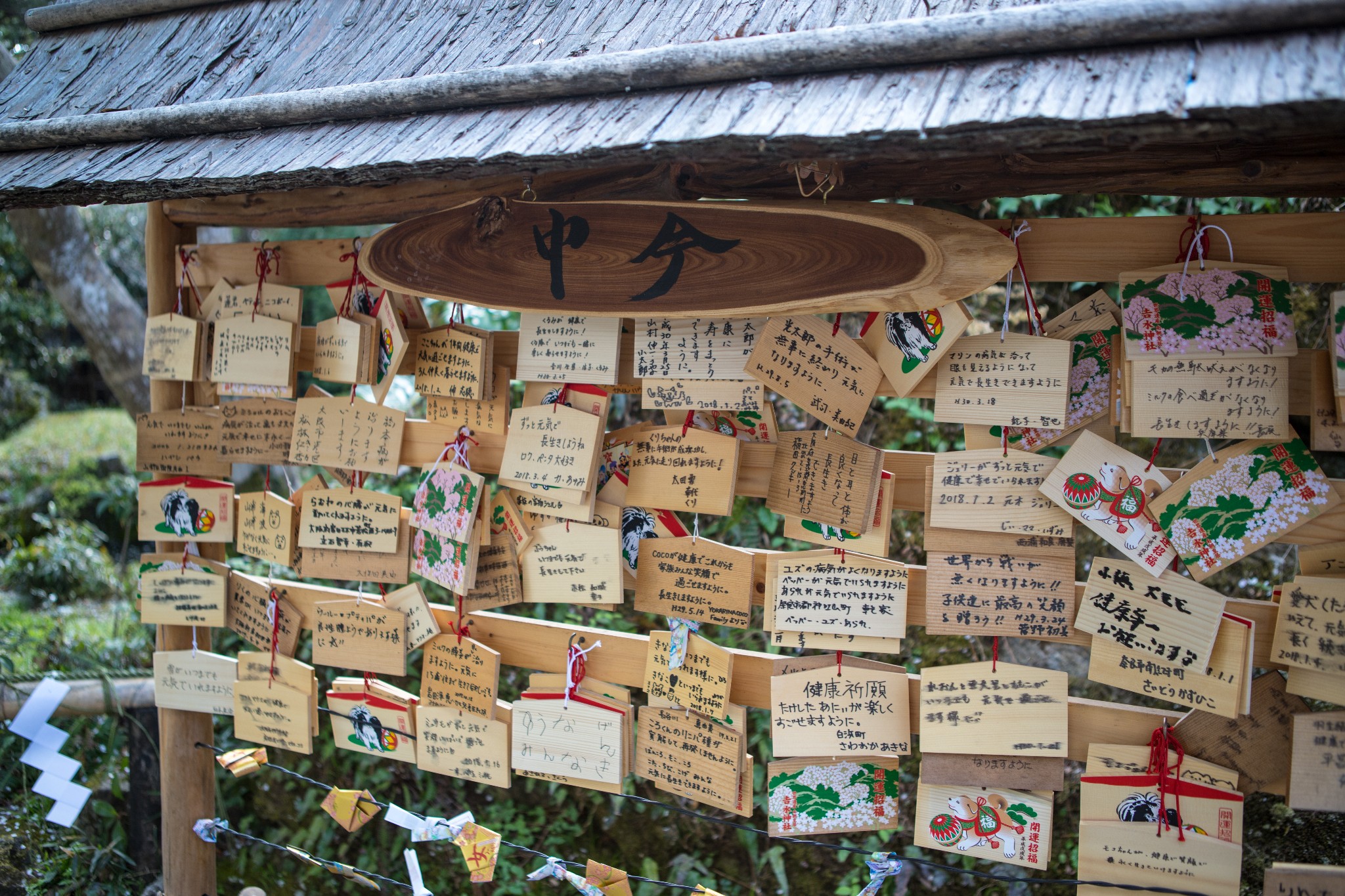 和歌山市自助遊攻略