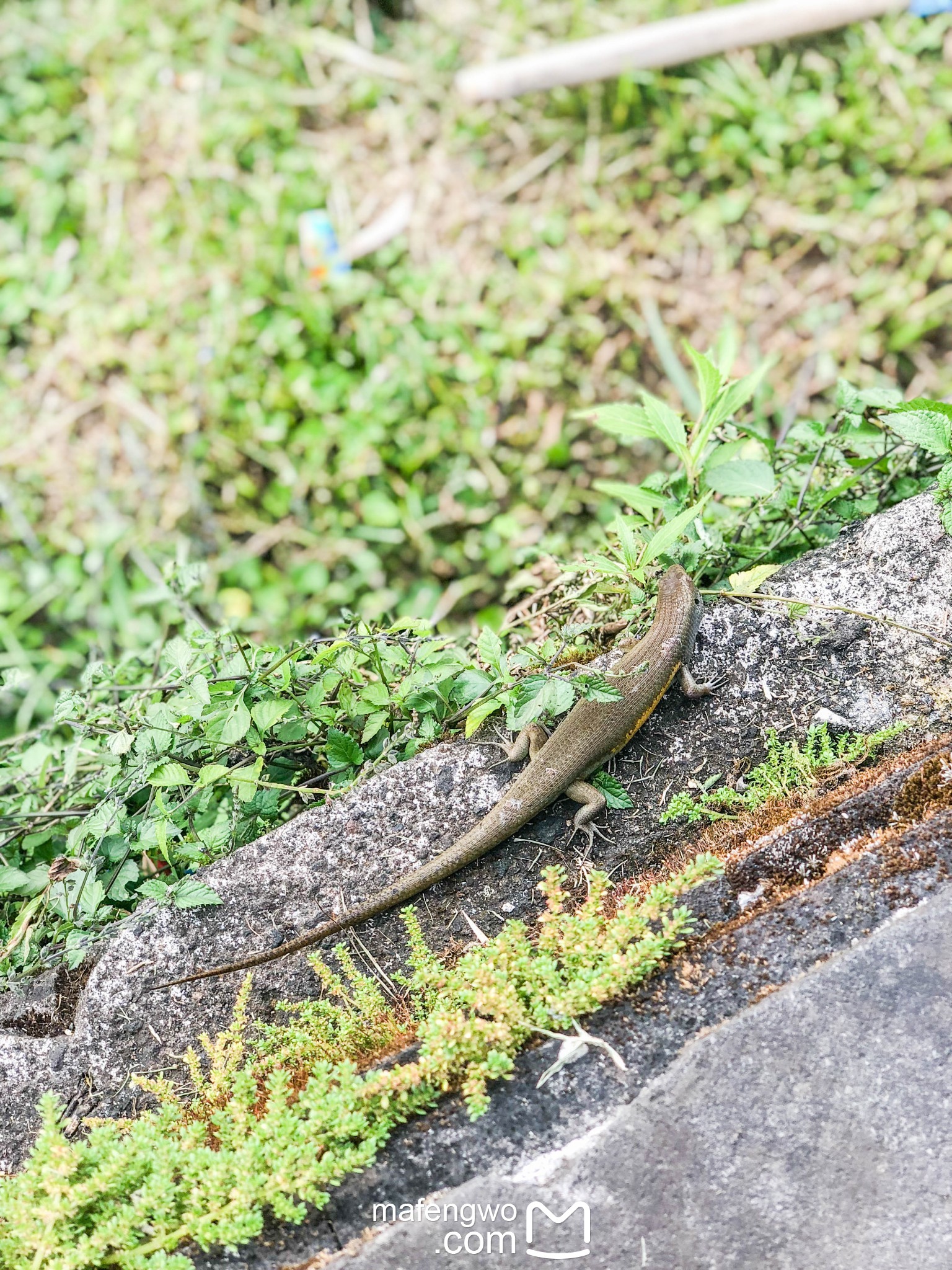 巴釐島自助遊攻略