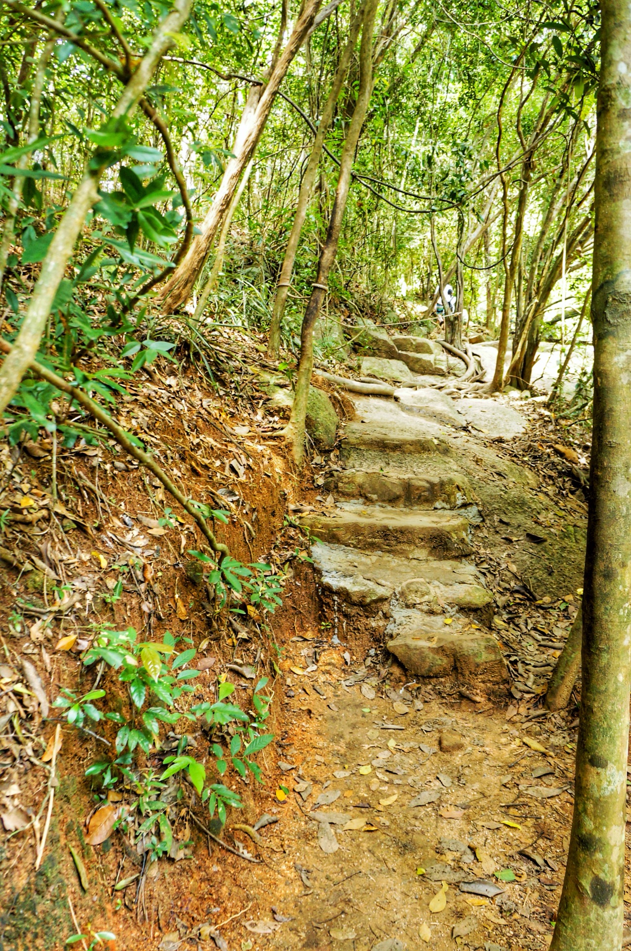 蘇梅島自助遊攻略