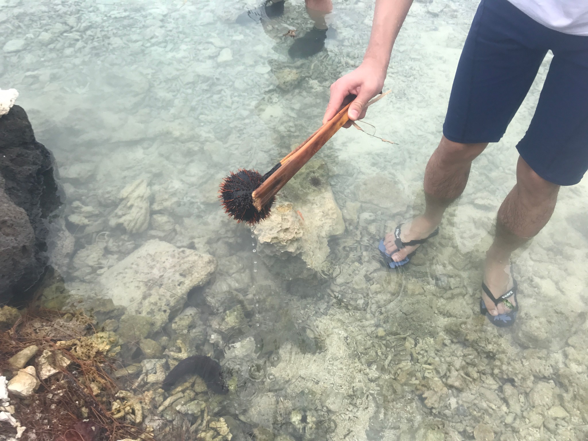 大溪地自助遊攻略