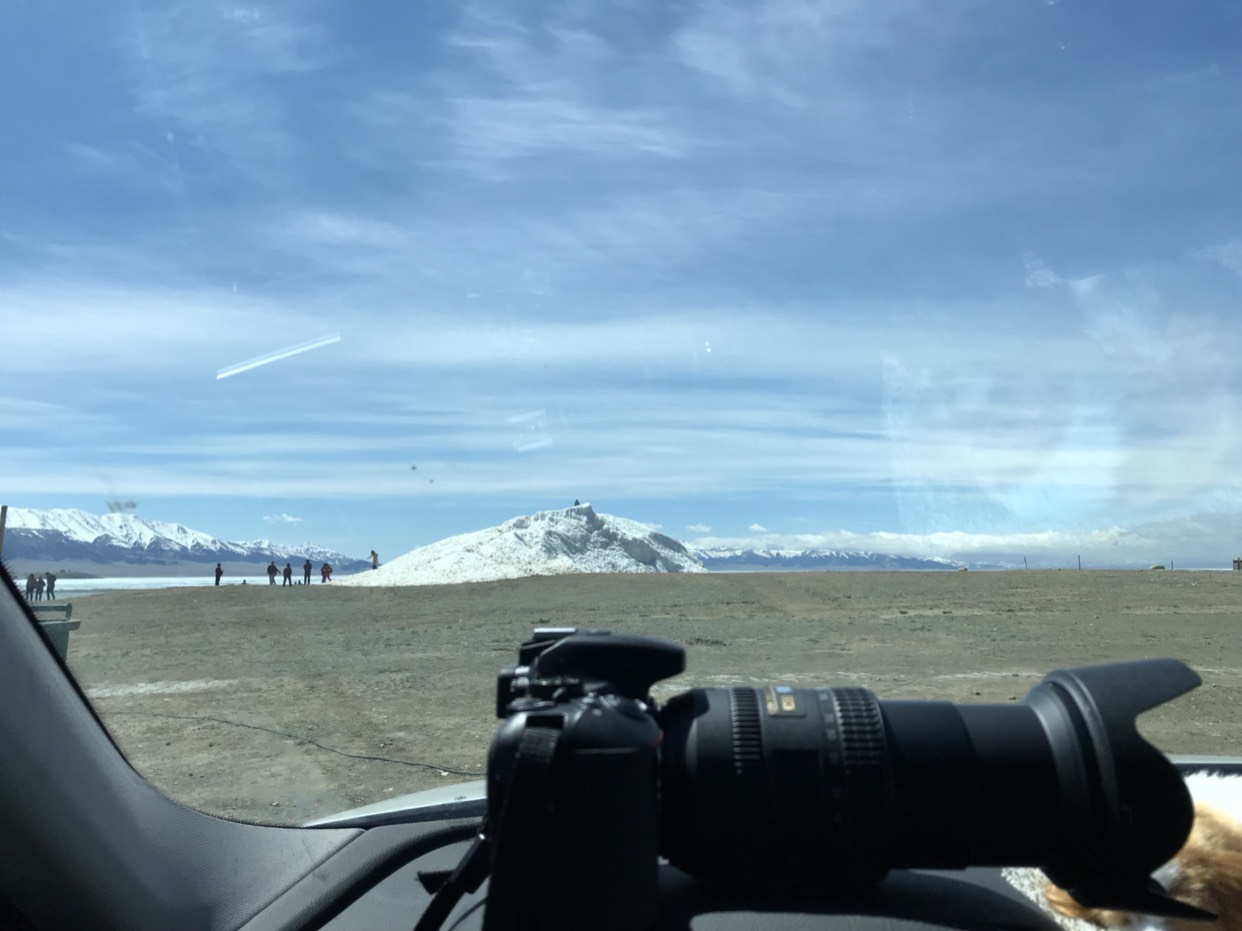 5月1从新疆伊犁回河南郑州途径哪些景点?