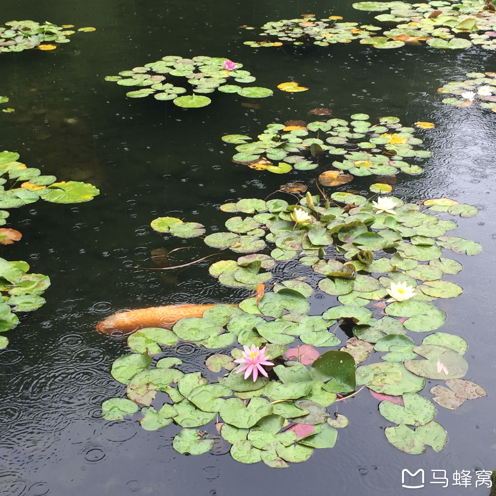 名古屋自助遊攻略