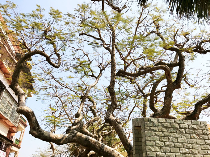 马蜂窝治什么病的 wKgBEFqnTL6AeirIABjUc8_yY9Q30.jpeg?imageView2%2F2%2Fw%2F680%2Fq%2F90%7CimageMogr2%2Fstrip%2Fquality%2F90